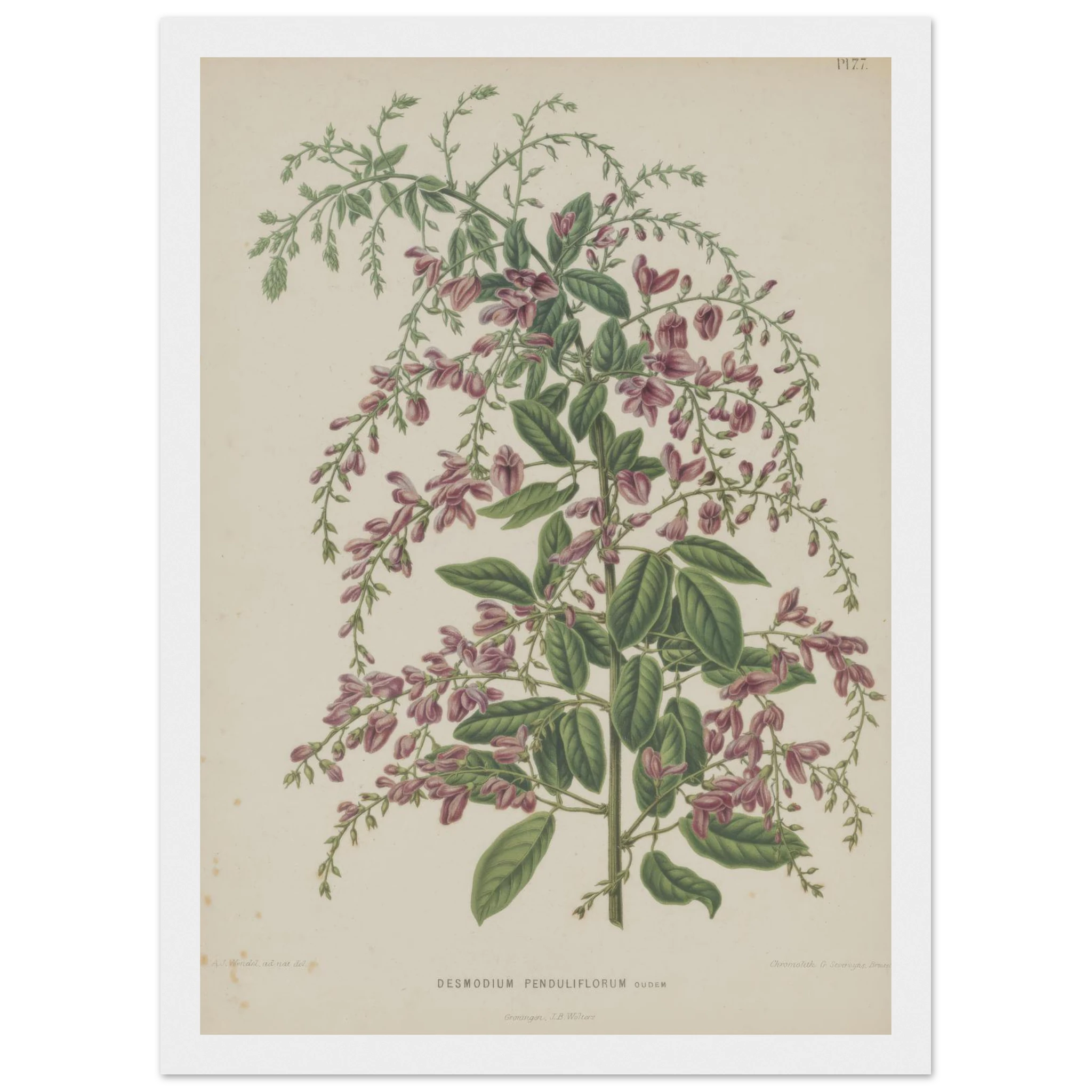 0001d9e8-8b13-408e-8532-07d4cb2a875c