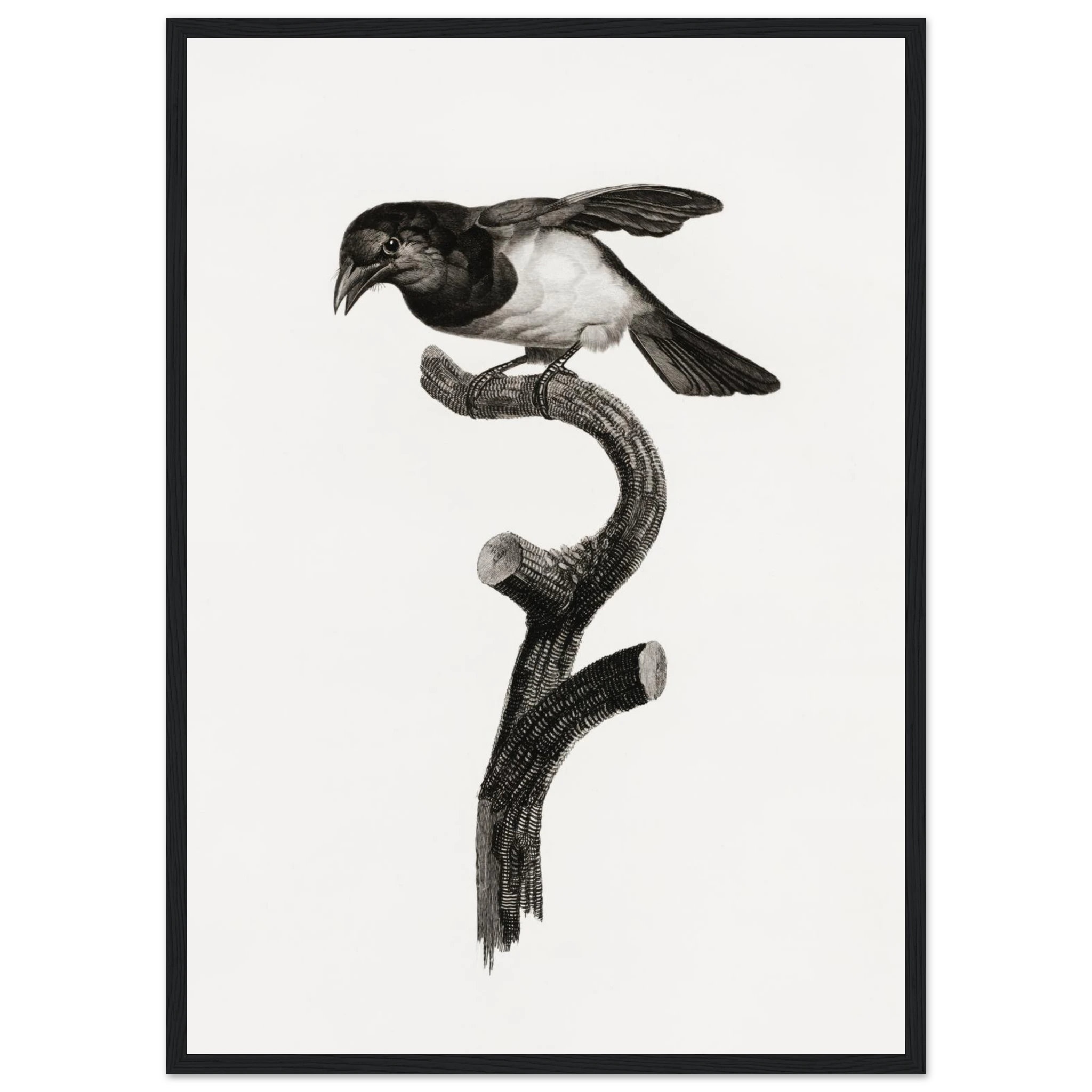 00d663f4-26ba-4365-9a9e-f0d35400de75