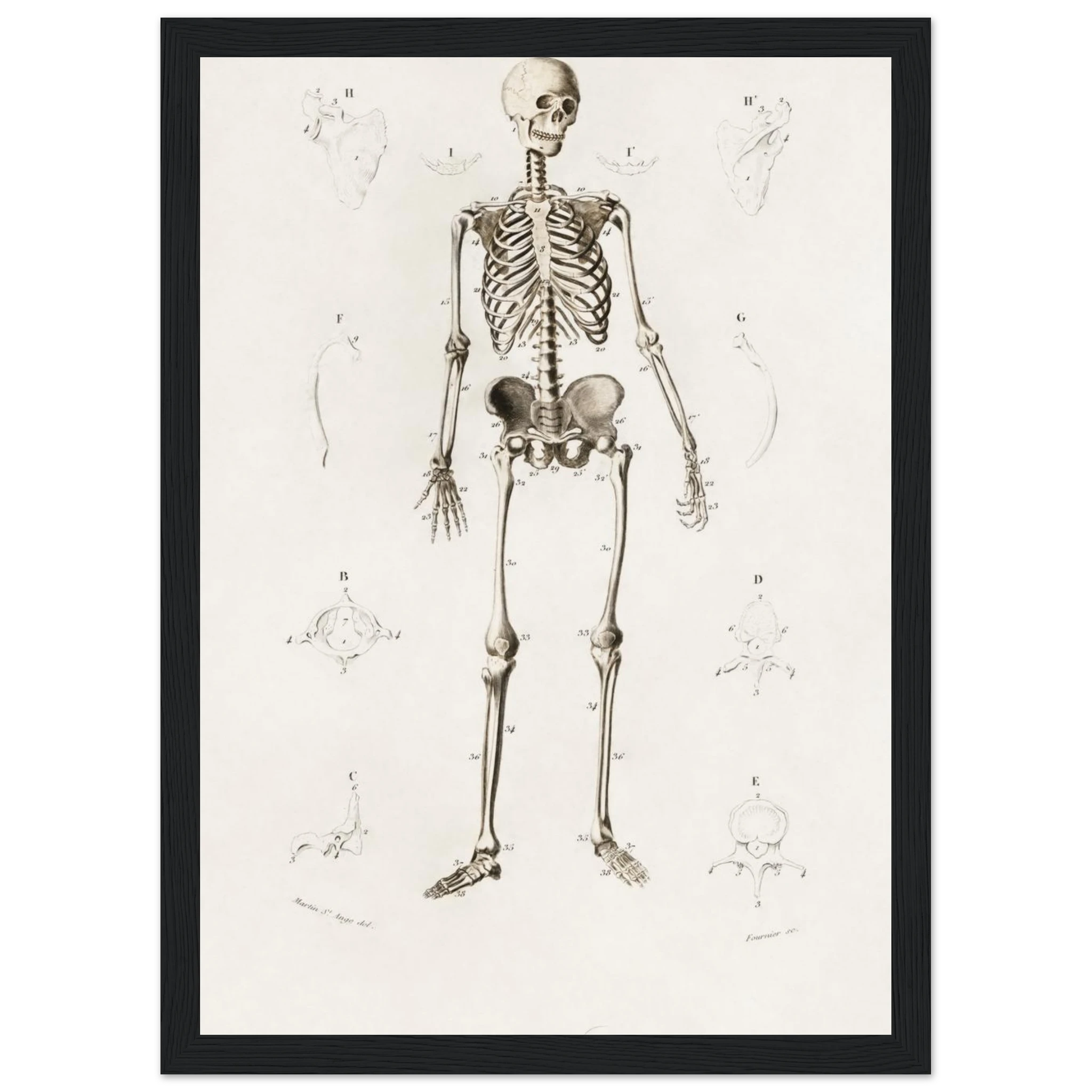 00ebfb30-f883-4d7d-bba1-79a27b4114cd