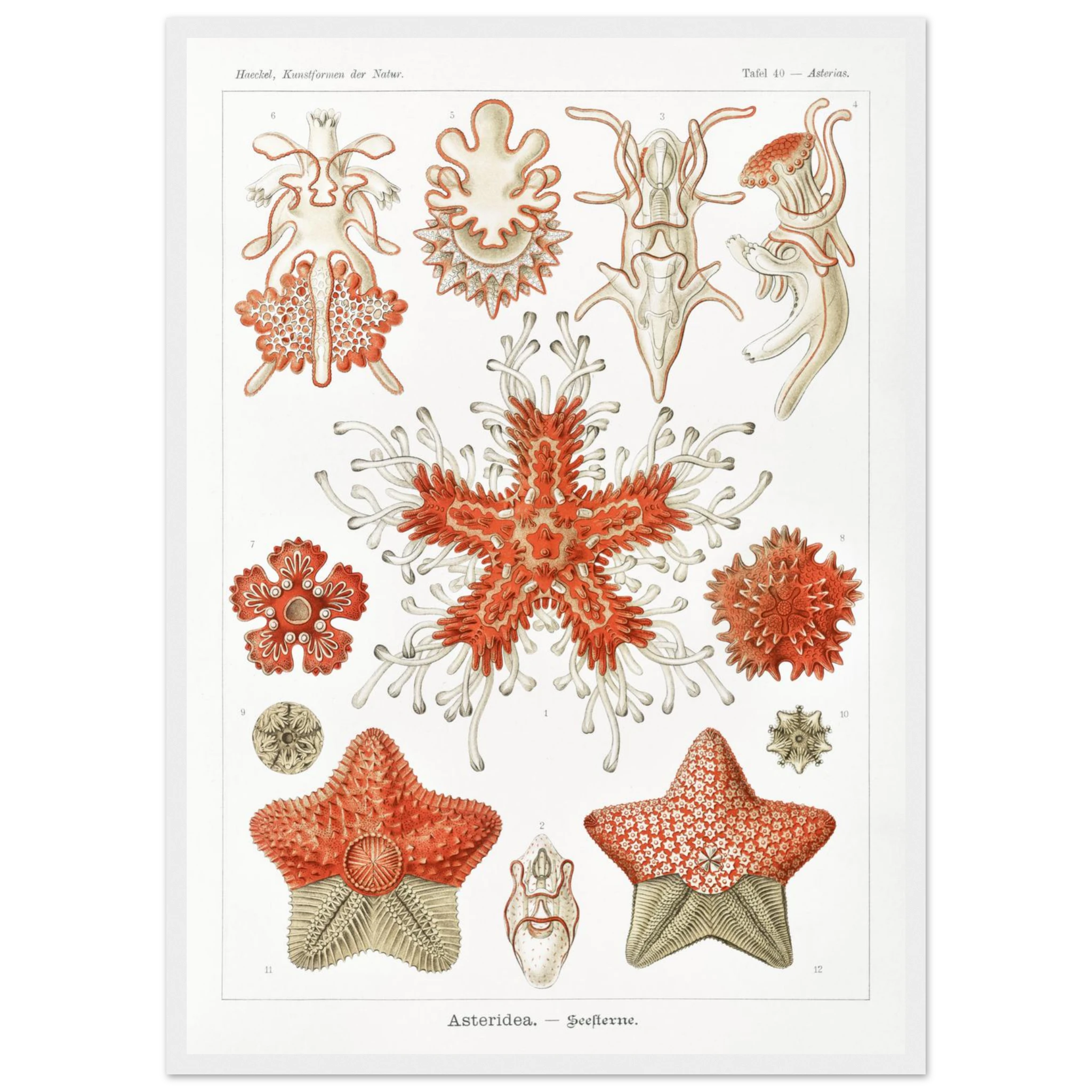 00fd9aef-c30d-4b3e-9081-e2427d2762a3