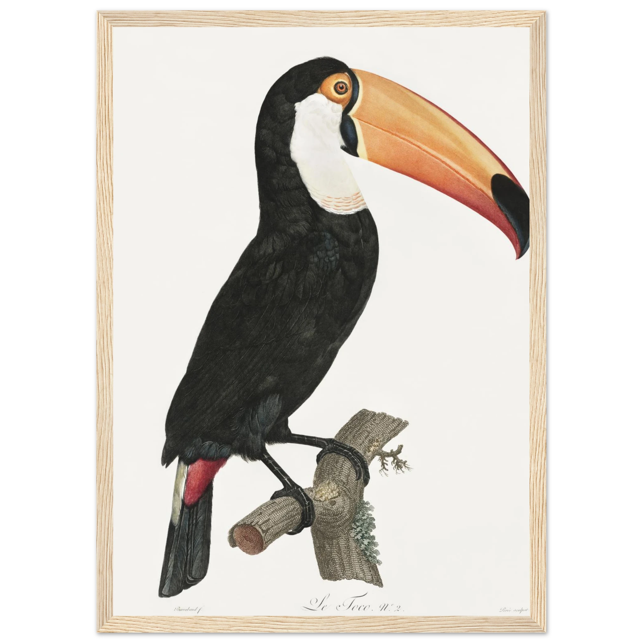 01092ea1-d98d-4712-87a7-c43b6cb804fc