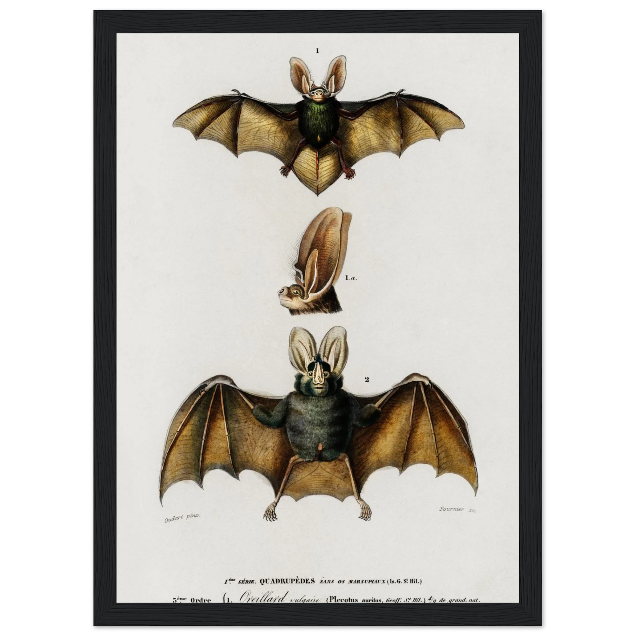 01313030-43c1-4221-b2b5-a069672f00d2