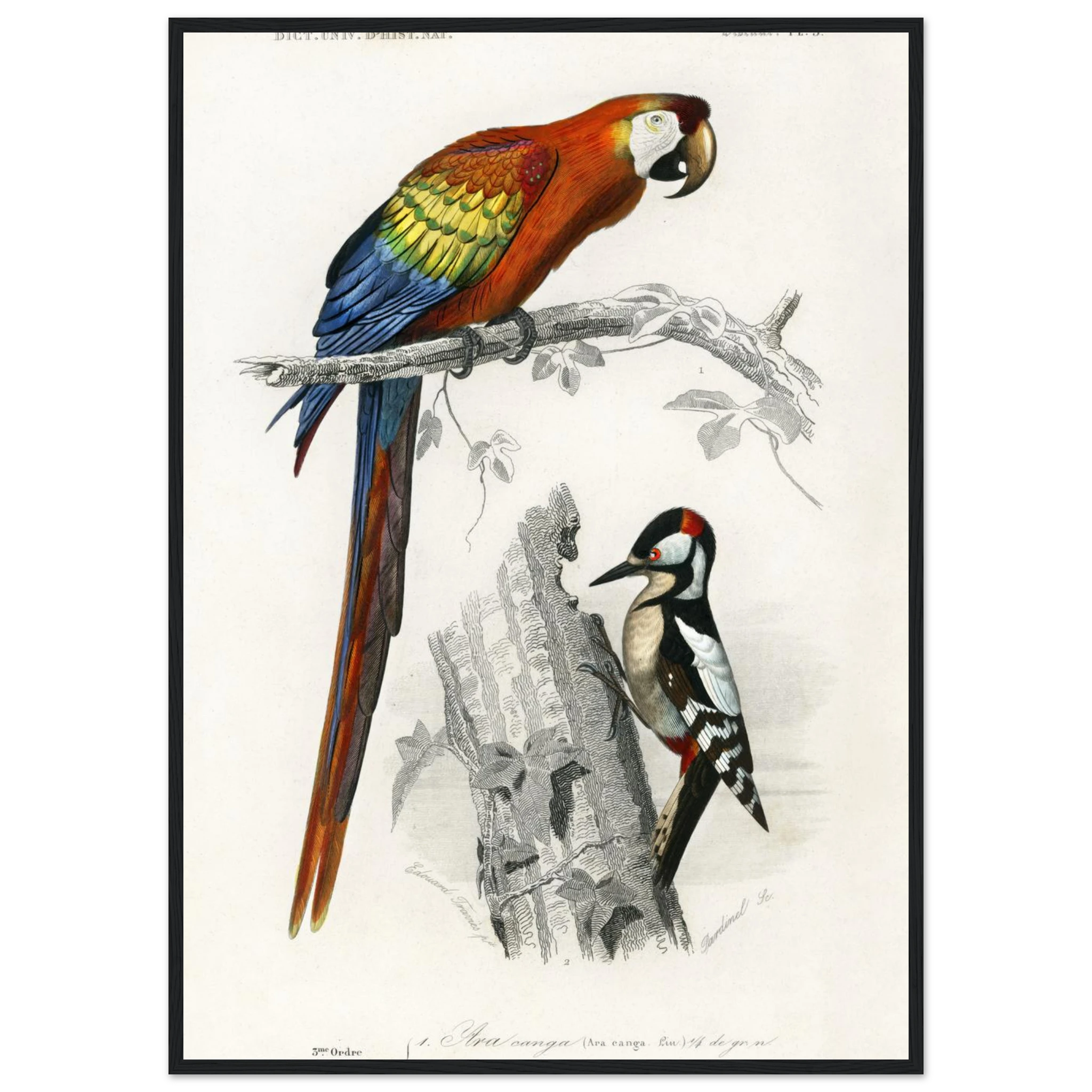 015da8b3-db15-40ef-8d24-6c8f569b4754