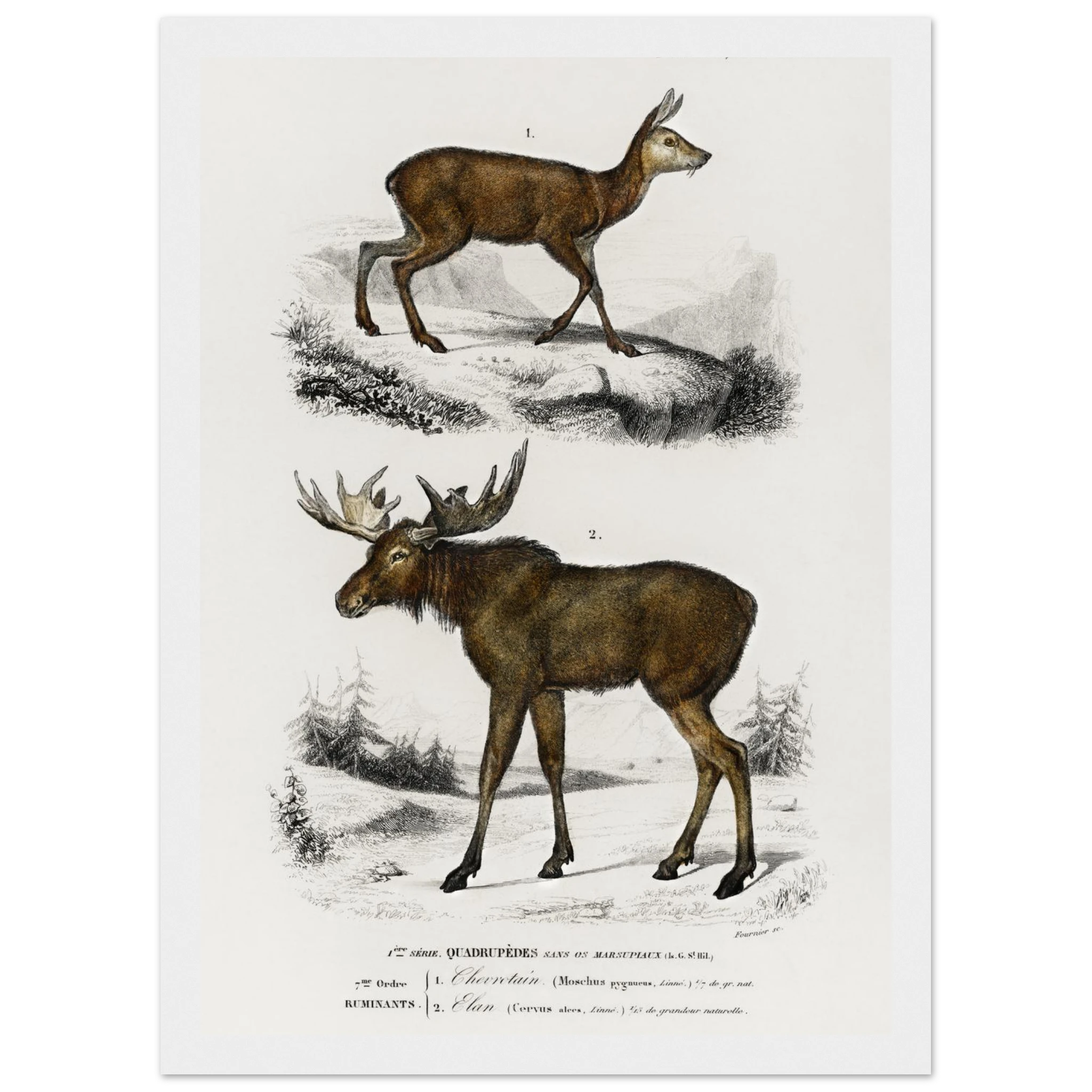 01adfd45-c997-49a0-a1d8-aaef3b8b1a0a