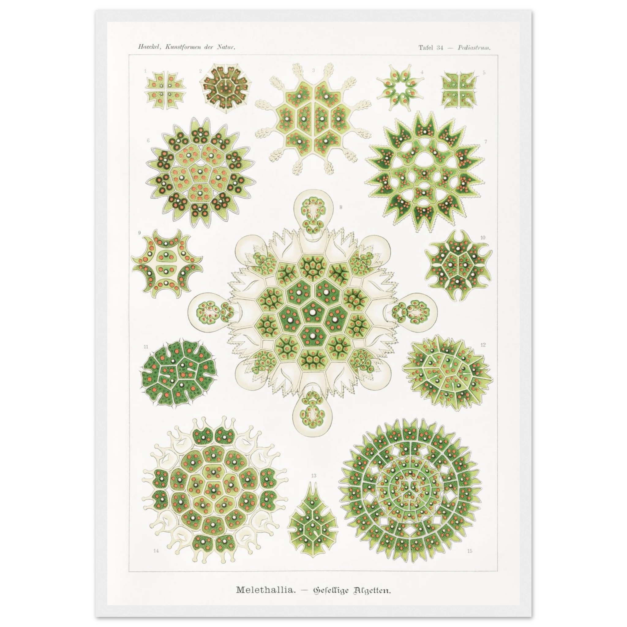 01b5bdbf-593d-4abd-8383-1cb28eb10ff9