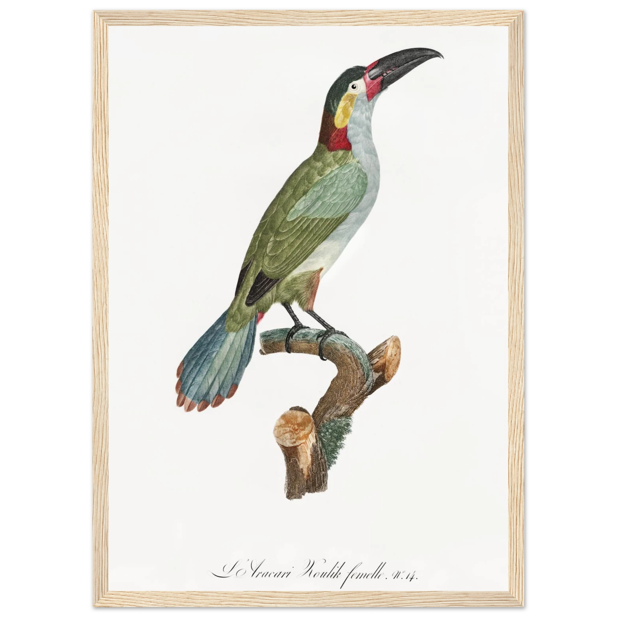 0219f8e0-6a59-4330-9b23-63cc0838ef93