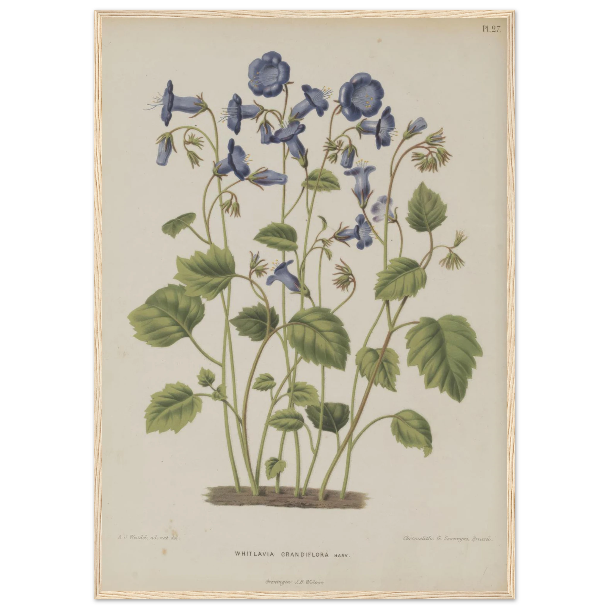 0266eae3-a7b1-4aad-89ec-96d8cd7e53a7