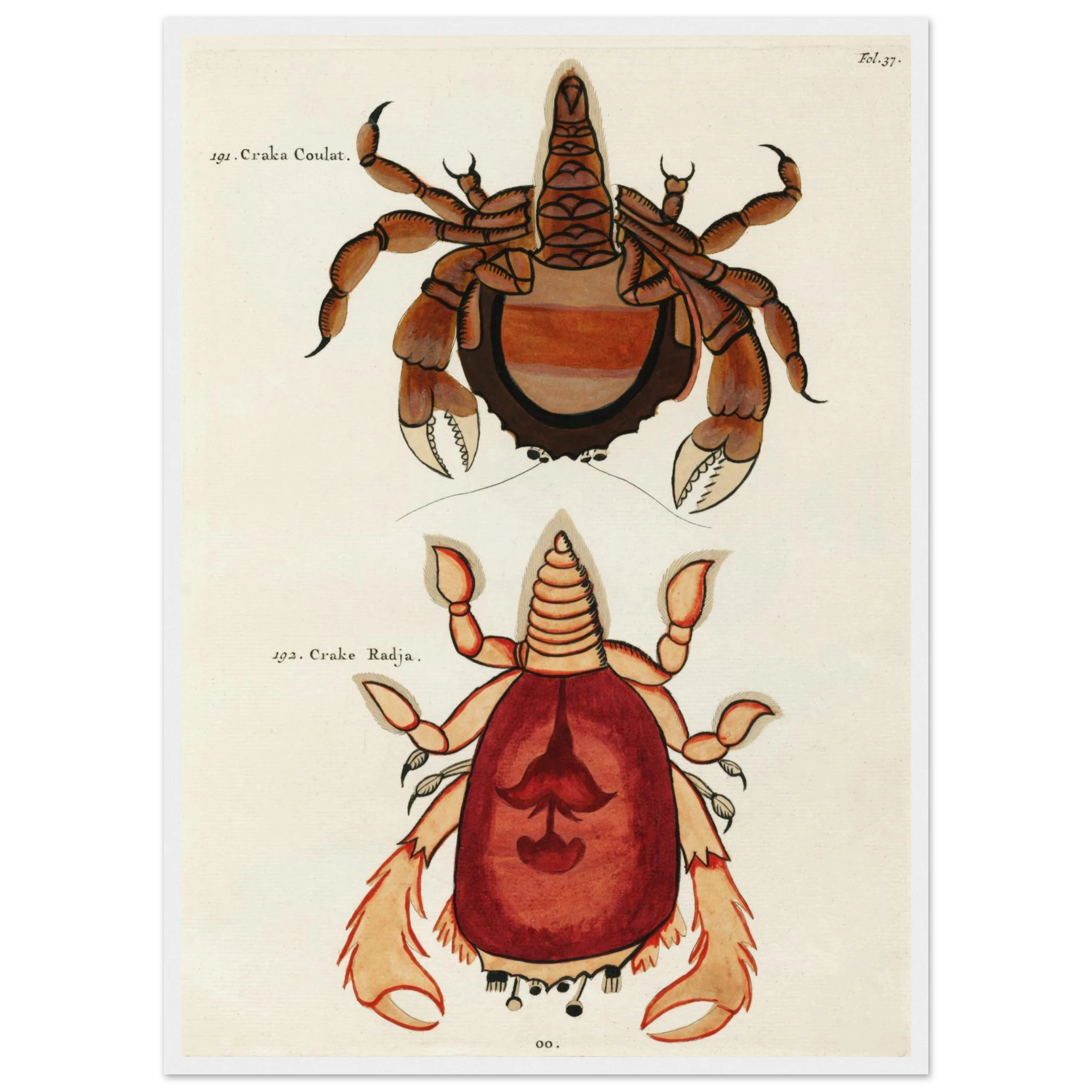 0294606f-653d-40b0-ae46-2a72ef269a39