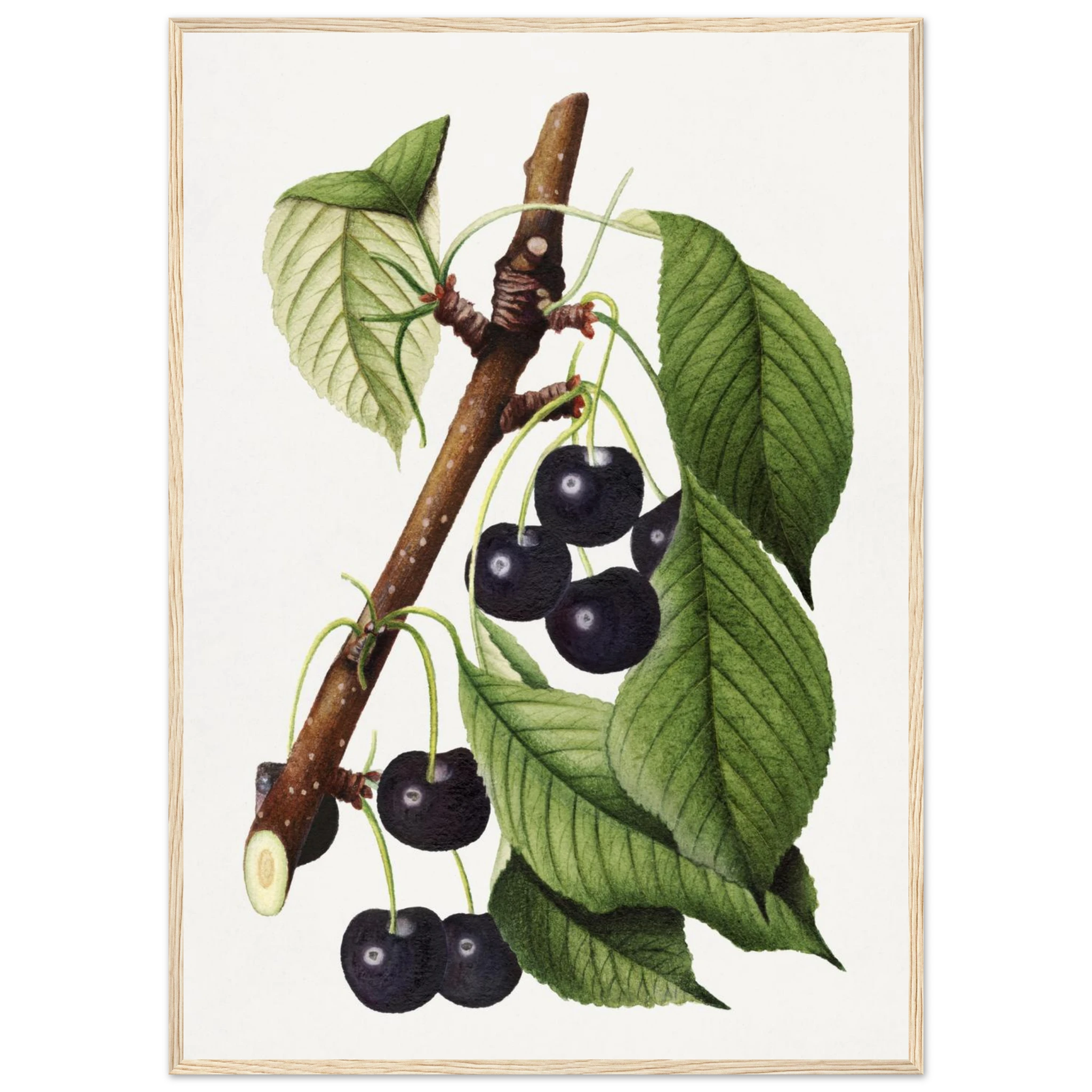 02c00c21-0f61-4e0d-be4f-f3183cd851e5