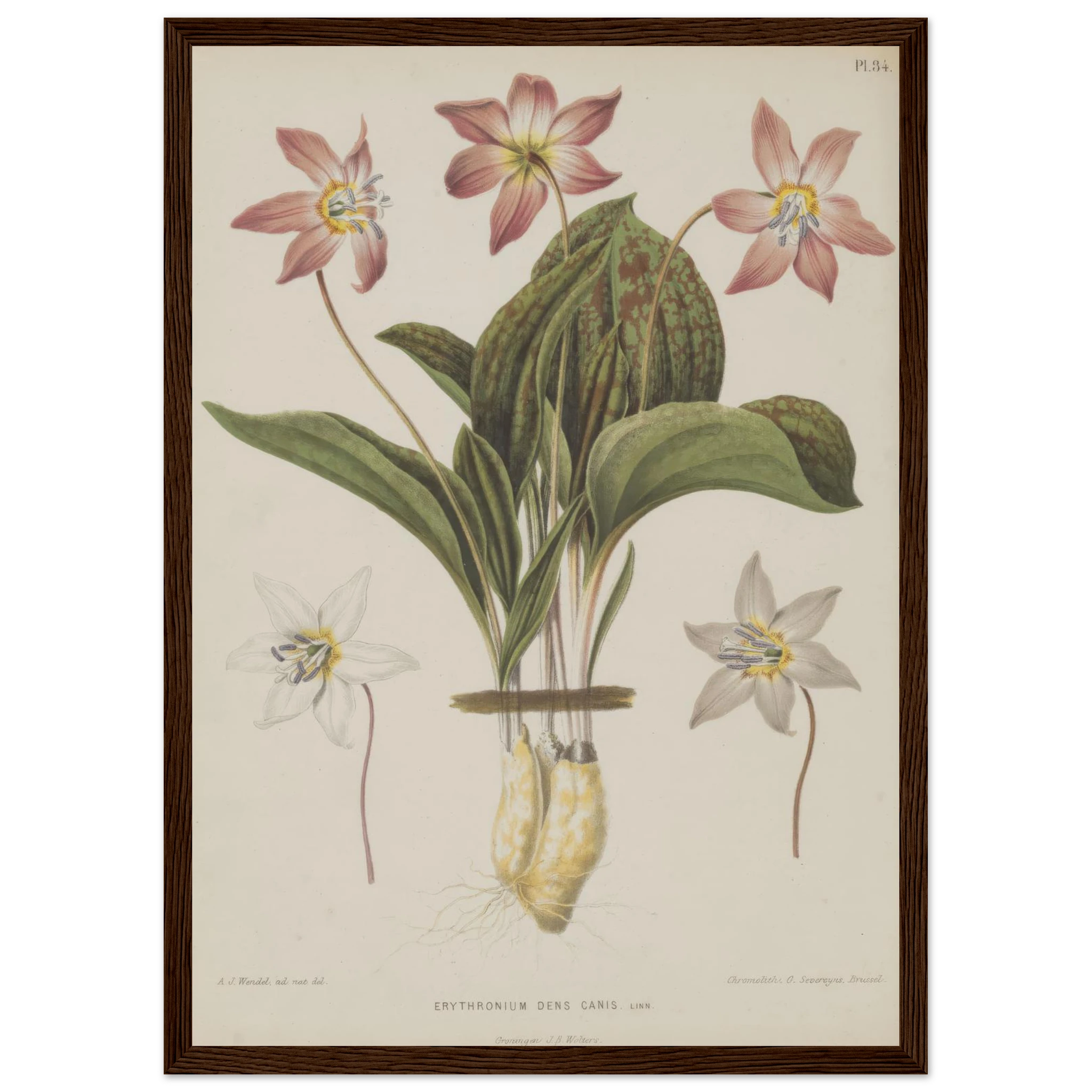 0330a757-c6a5-4a80-aa15-cf74388a52fb