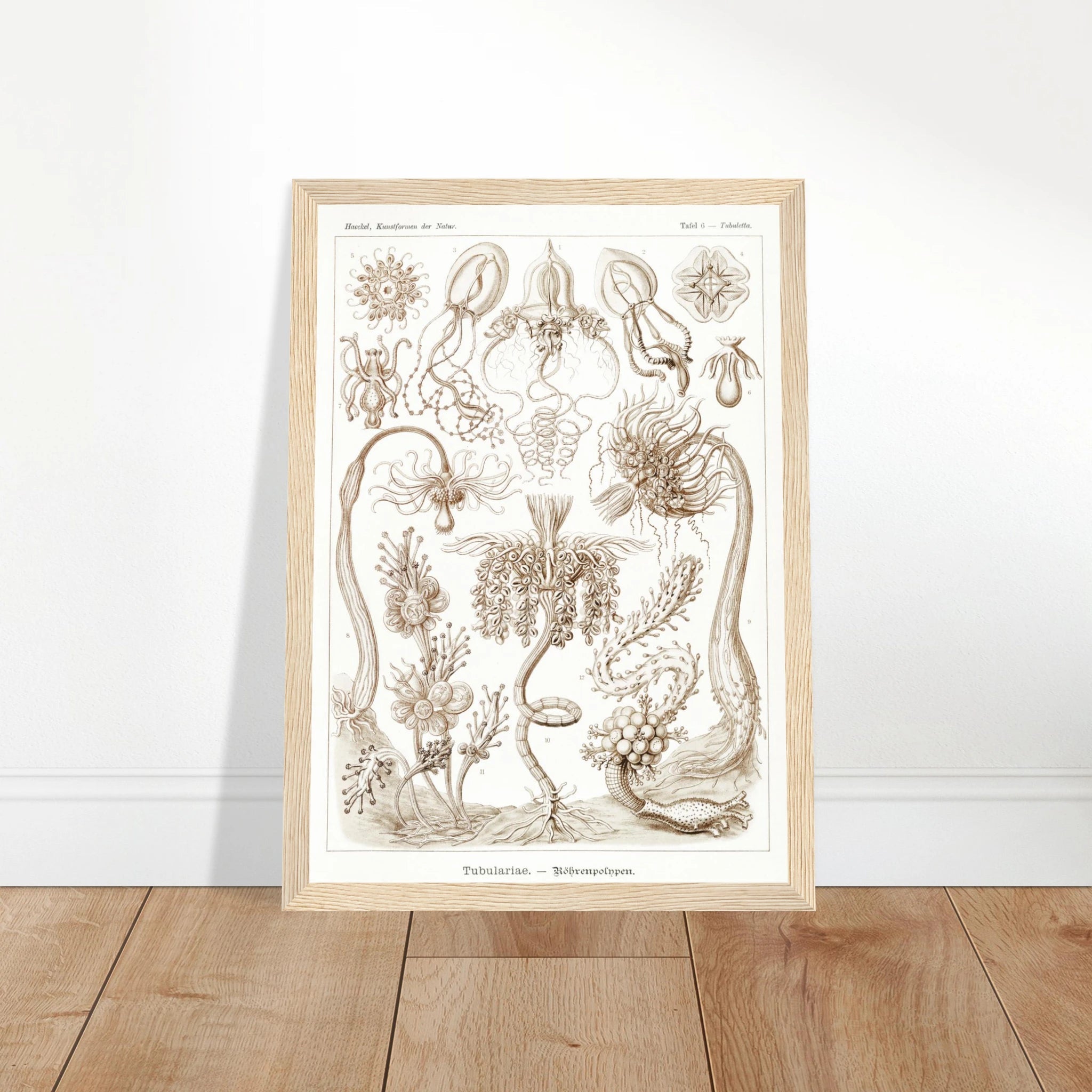 03512d33-9b88-49dd-8324-eeb20d7eab20