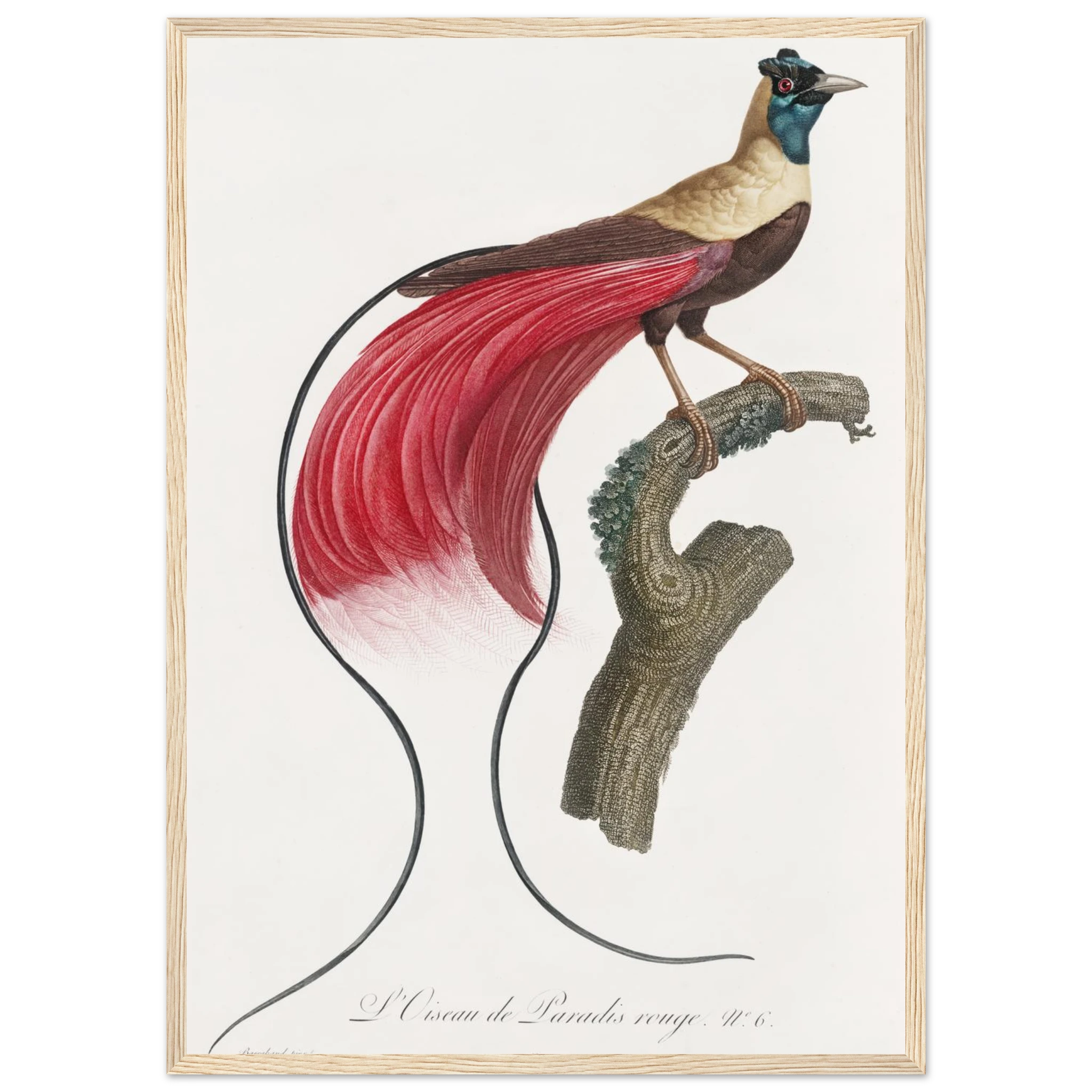 035f2ca9-afb6-448e-8e7b-b4f32d0bb39d