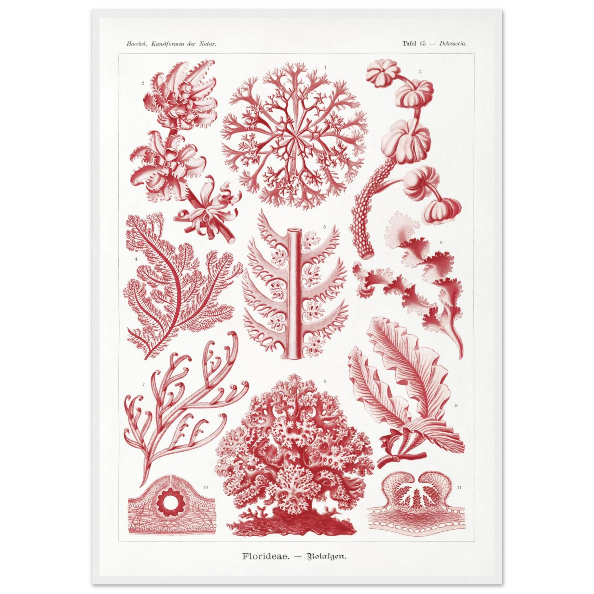 036adfea-57f5-489d-ab26-0ce01bcfc534