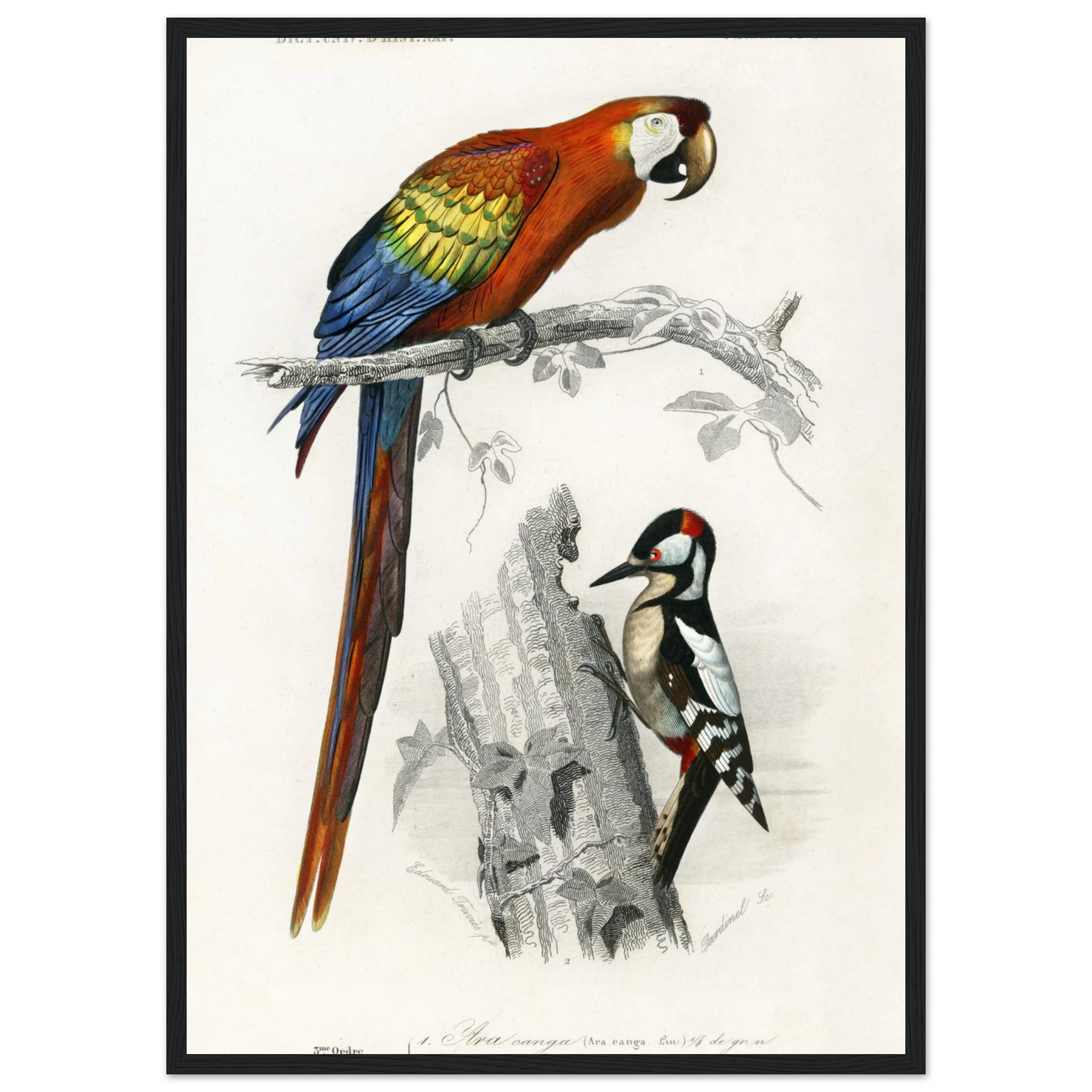 038b4126-93e4-4857-8137-86421a829326