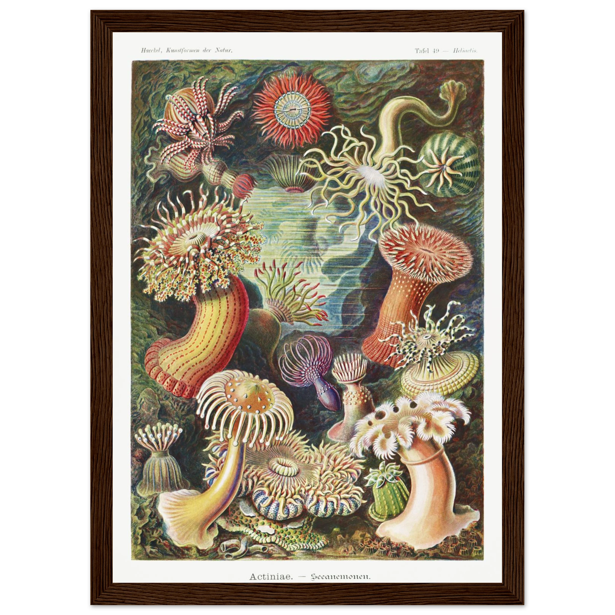 03b10a55-acb6-4769-8d32-7cd06b4af09c