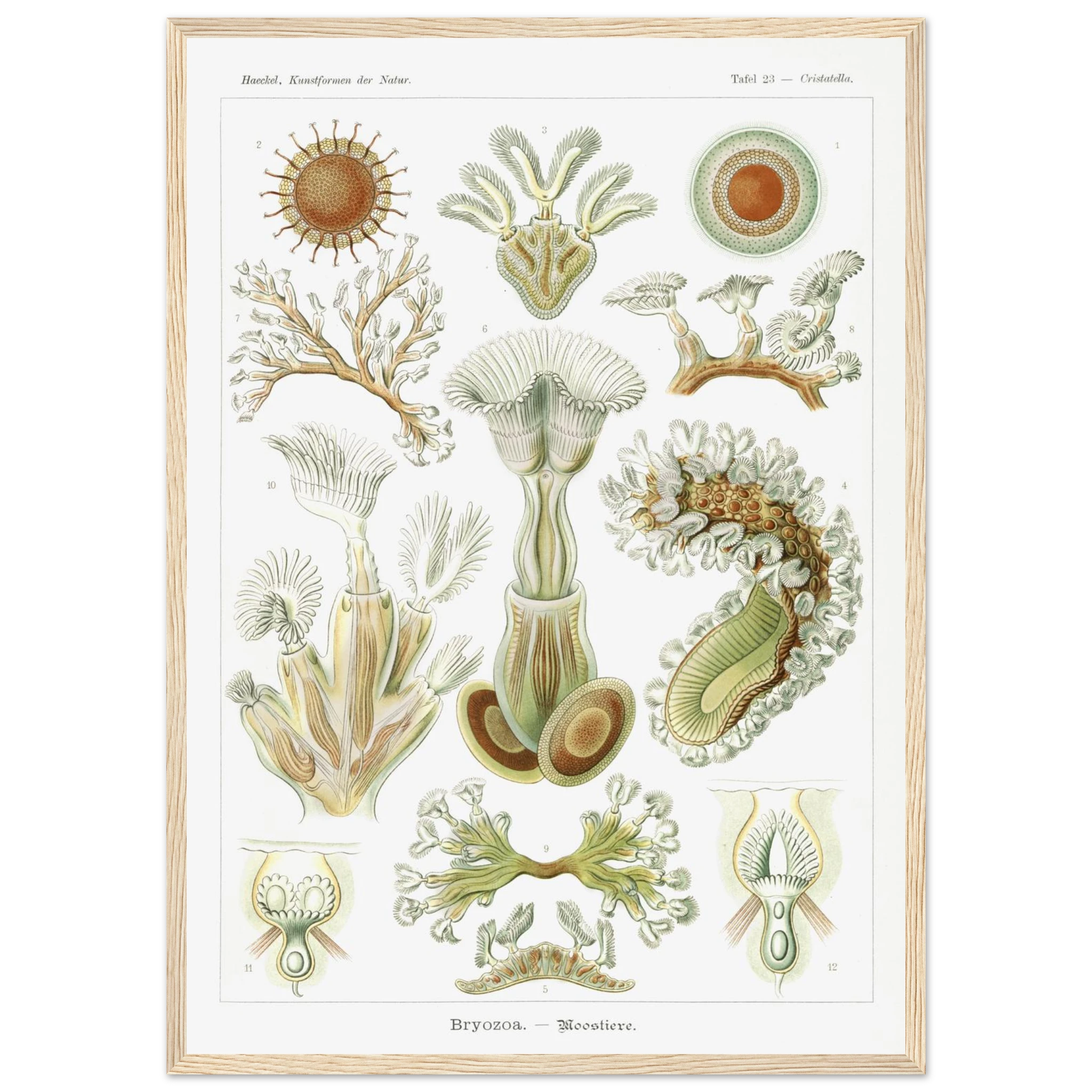 040b1d81-bba1-4179-b962-5672df1df699