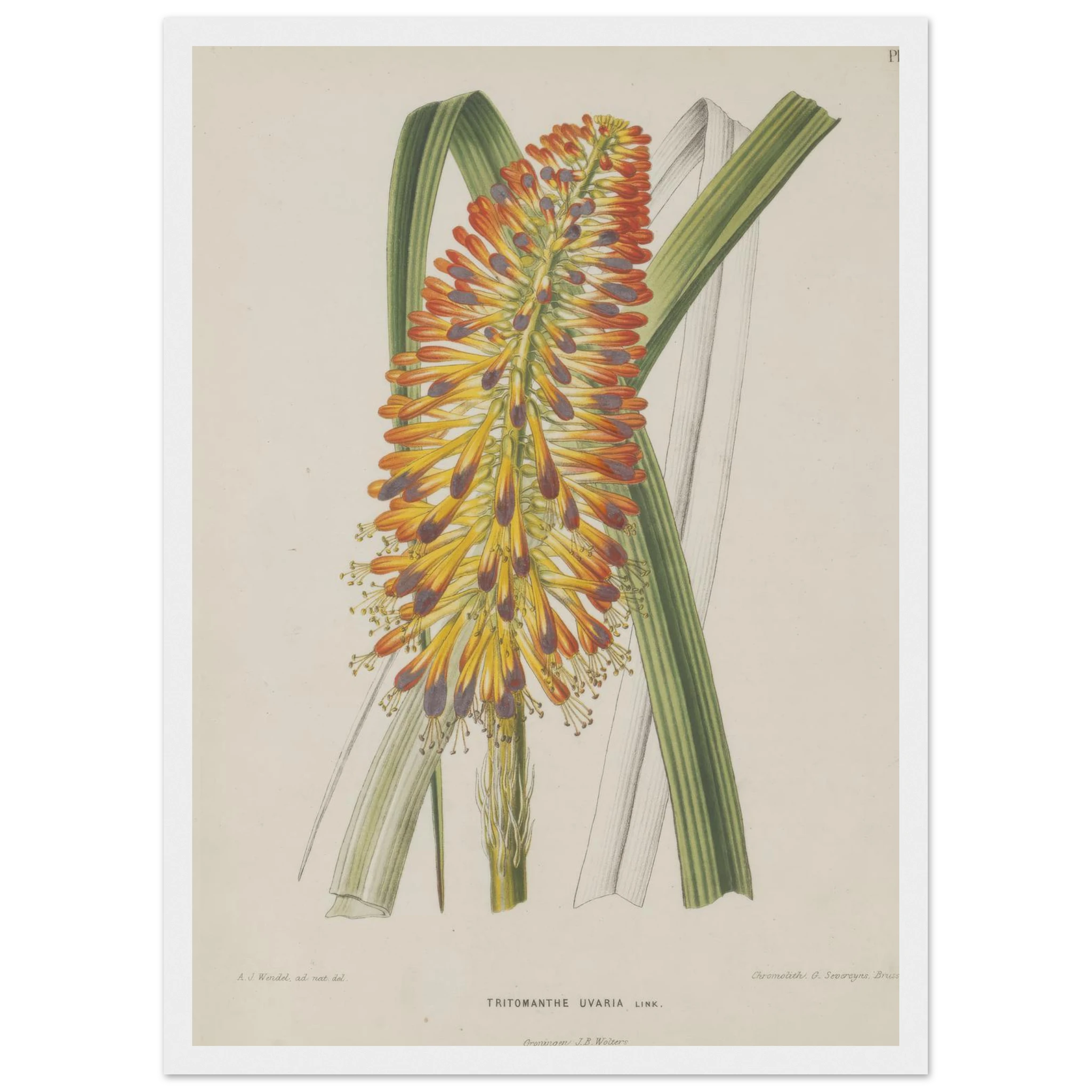 047bd72d-f311-4449-a57c-944e27445c4d