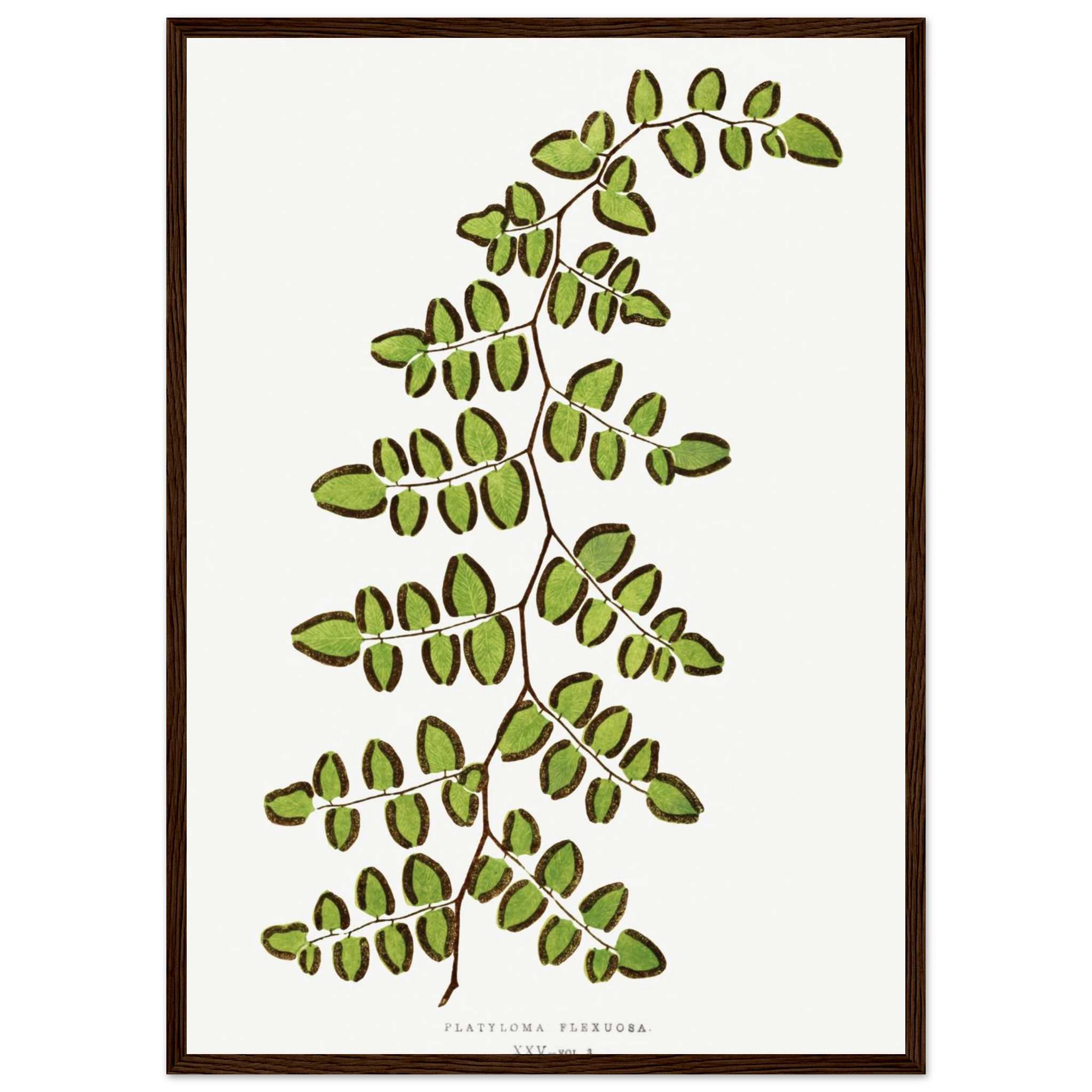 049d97ce-34be-4ed2-928d-b21e59424ca9