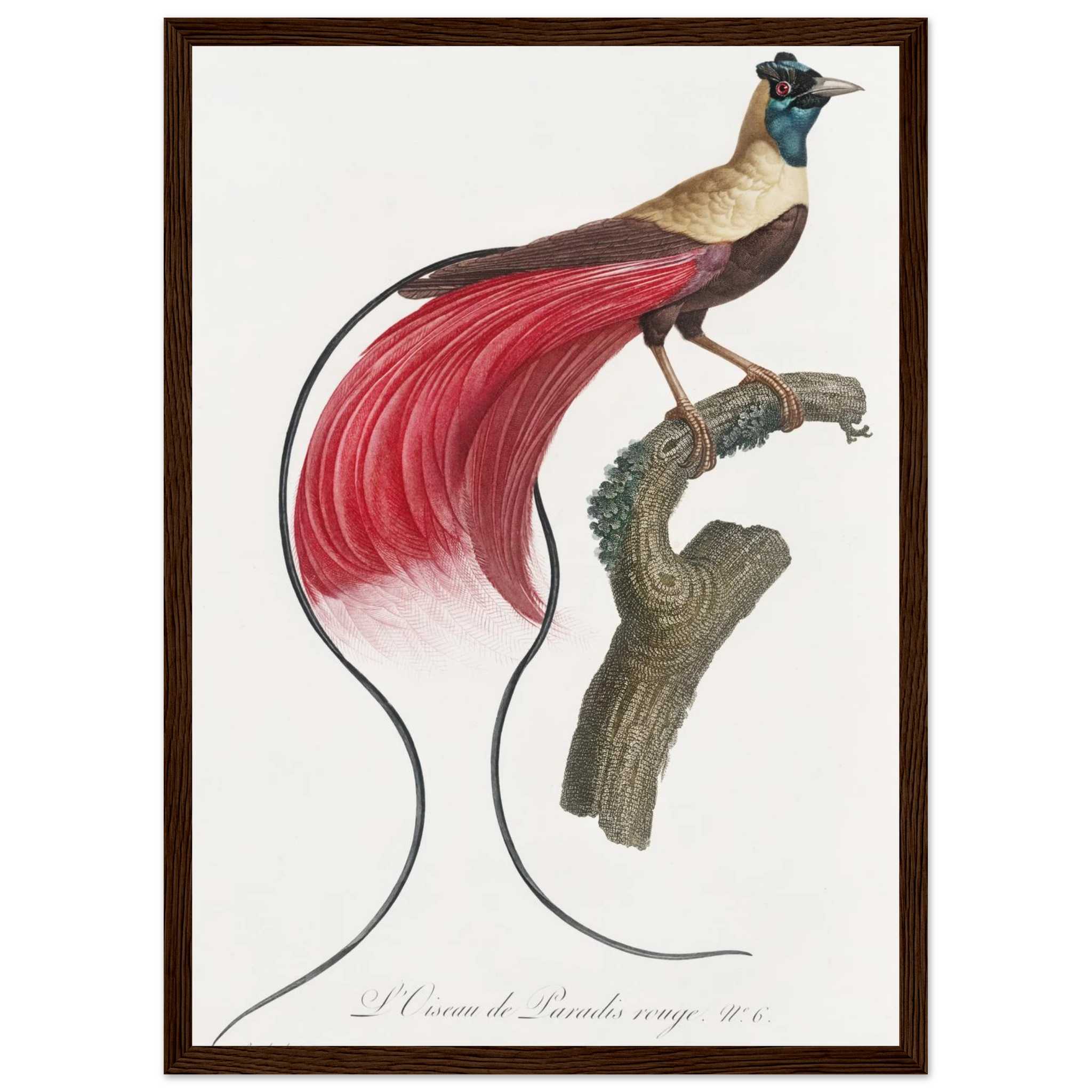 049e59a6-fa34-4a58-b675-2685c088bbfb