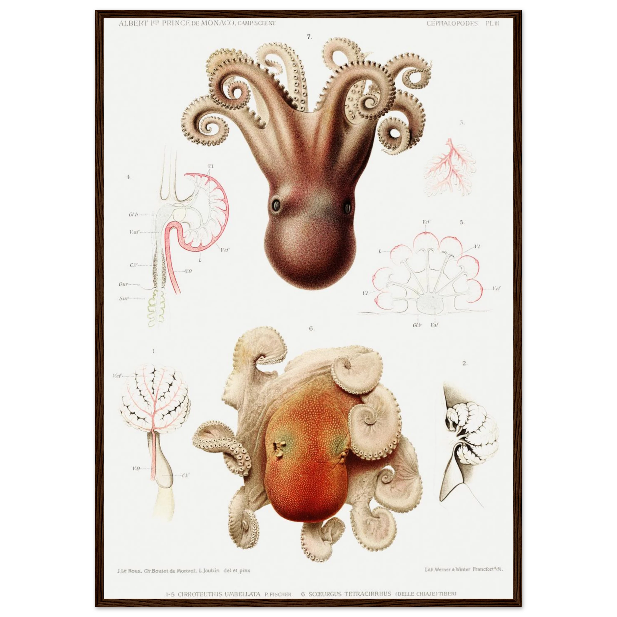 04ad87c0-f6ea-40c9-a8bd-7f2682a7bcd7