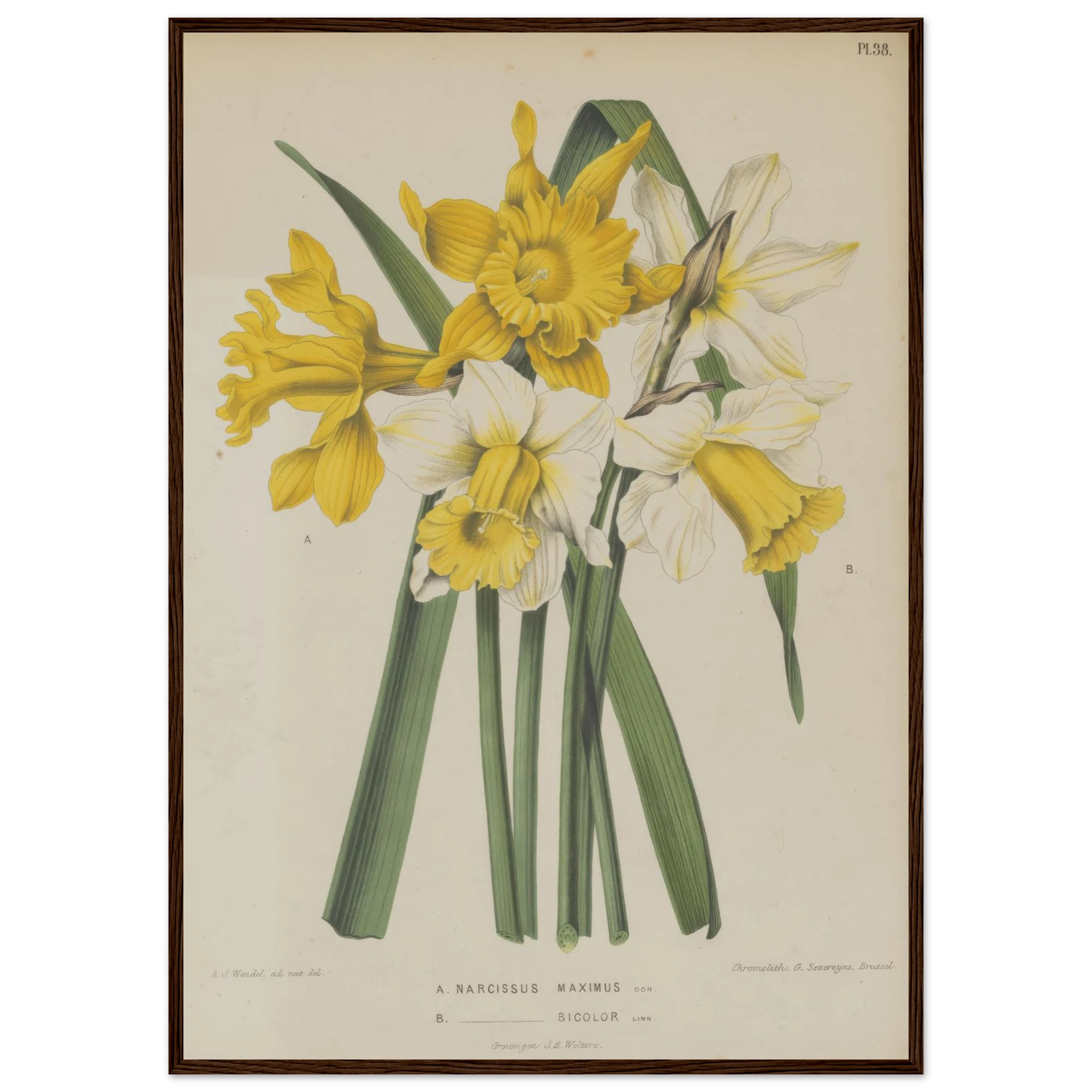 0502bf3c-626b-4f05-a44e-ecd67de2419c