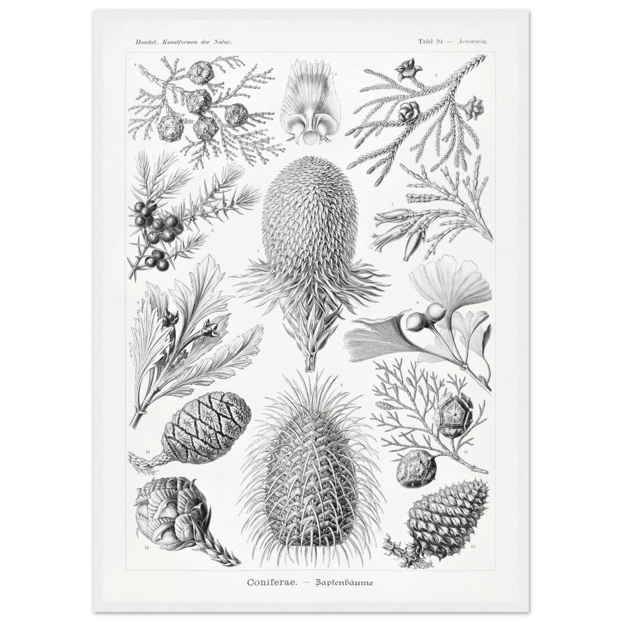 056335ec-f8e4-44d3-9e16-dd5d3d012520