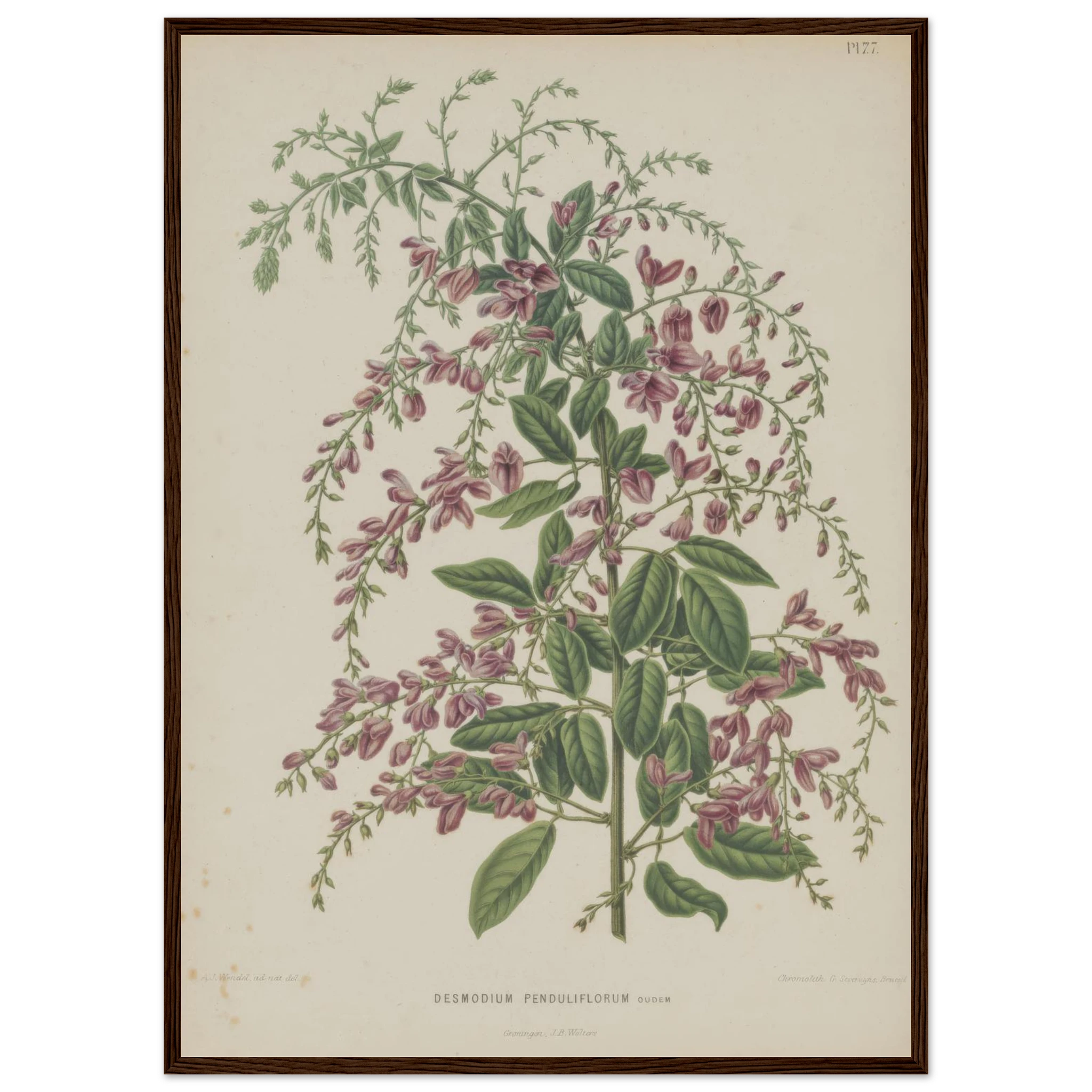 05805cc3-d23c-467d-a2ed-0a7666cca552