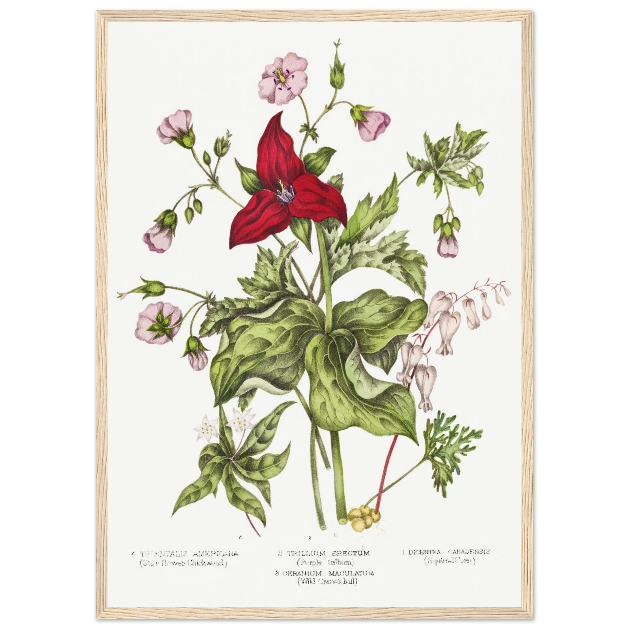 05a79b6b-0adf-42de-a766-01d87c7a2410