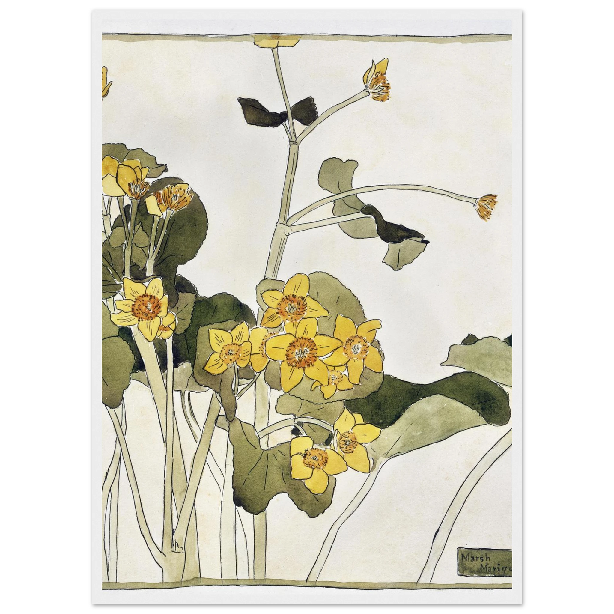 05a9d275-d134-43c3-a1ca-f075feffb418