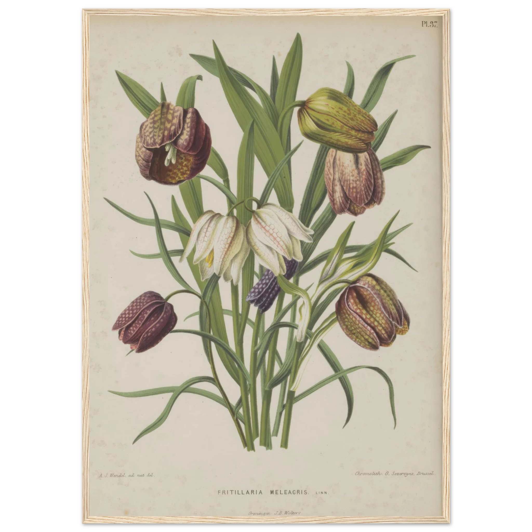 05b7a3fa-a205-4039-bab0-e04661a8bb4d