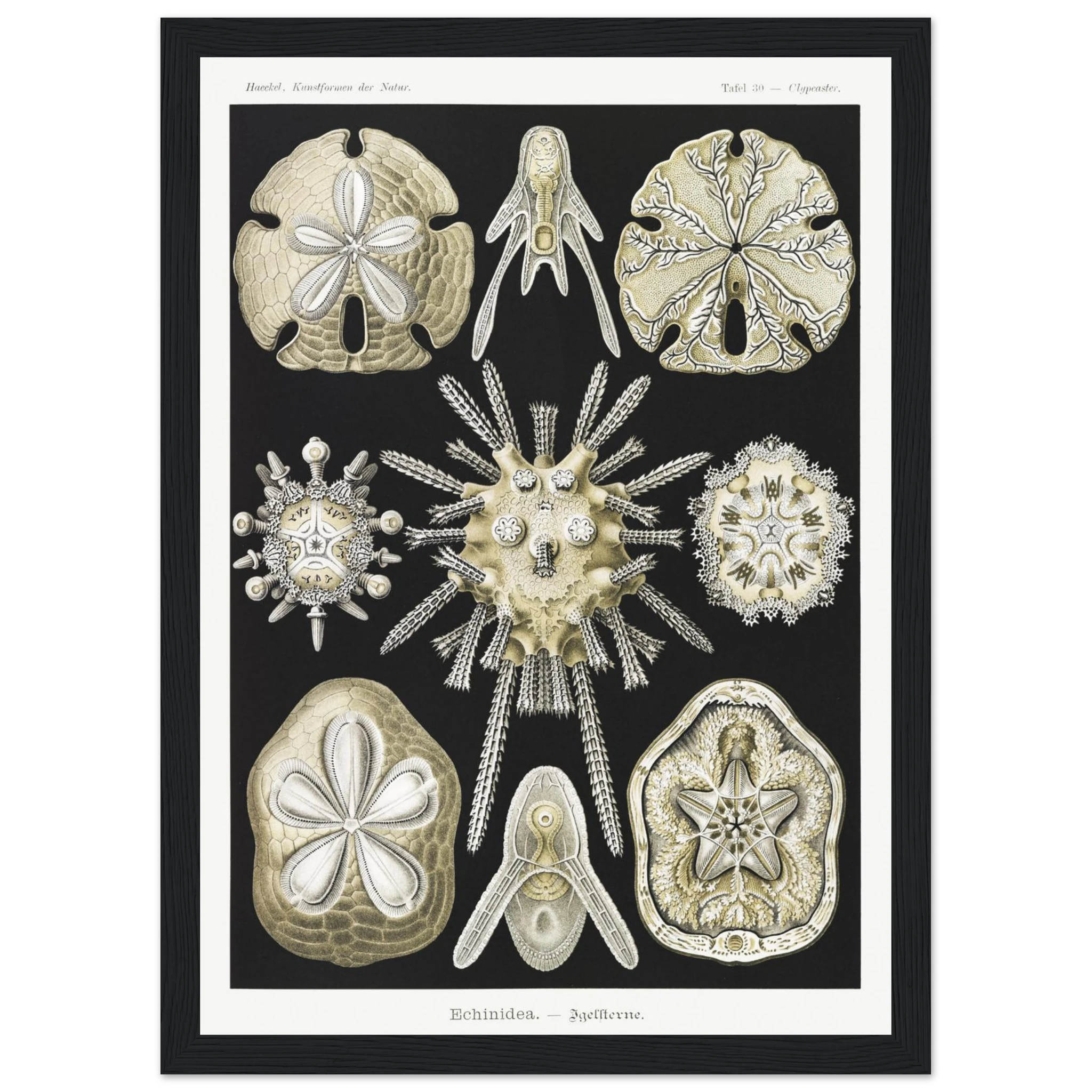 06045307-de8a-4543-ab3c-4ef7c0c32b97