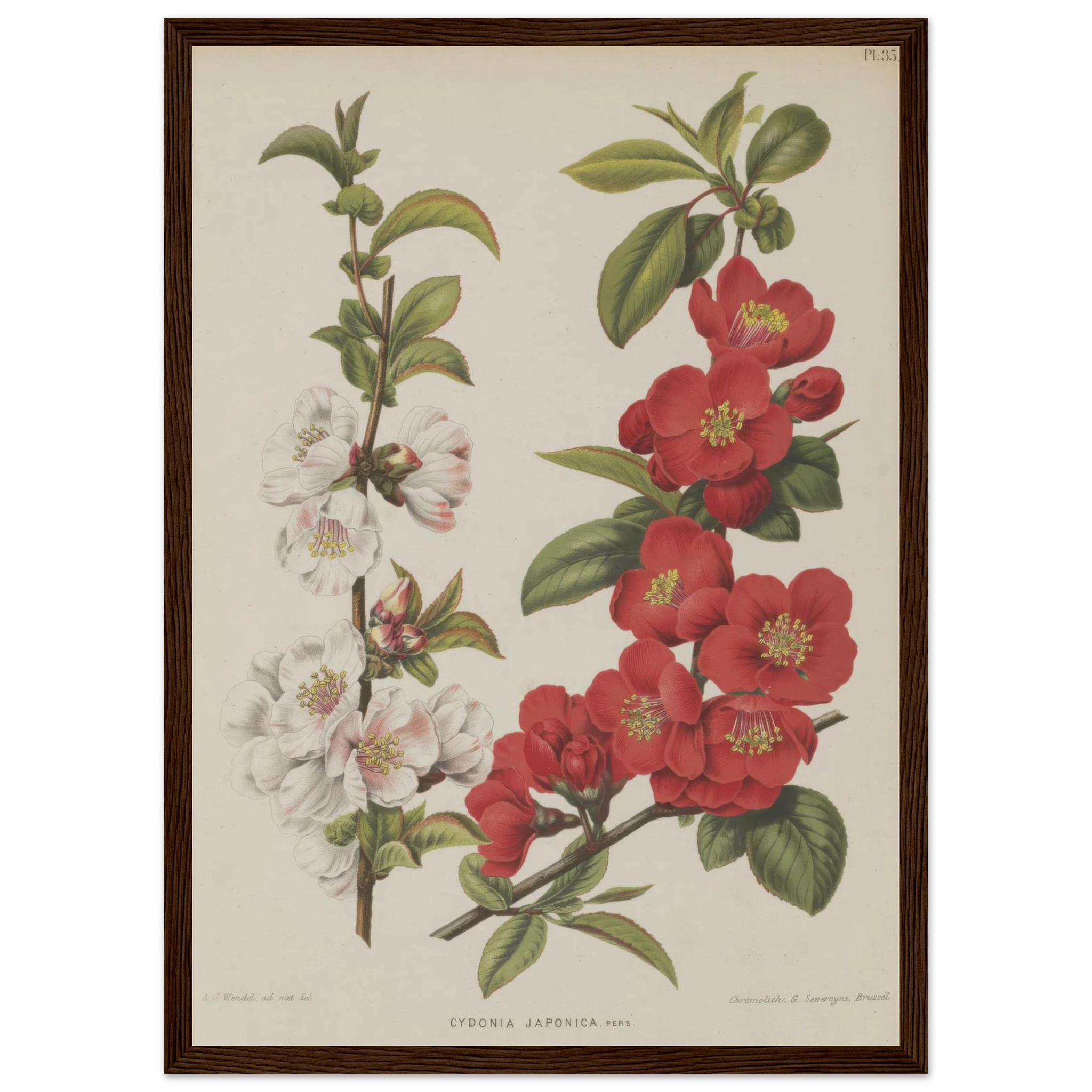 0607a6cd-1a66-45c1-9458-c1d21ef55d9f