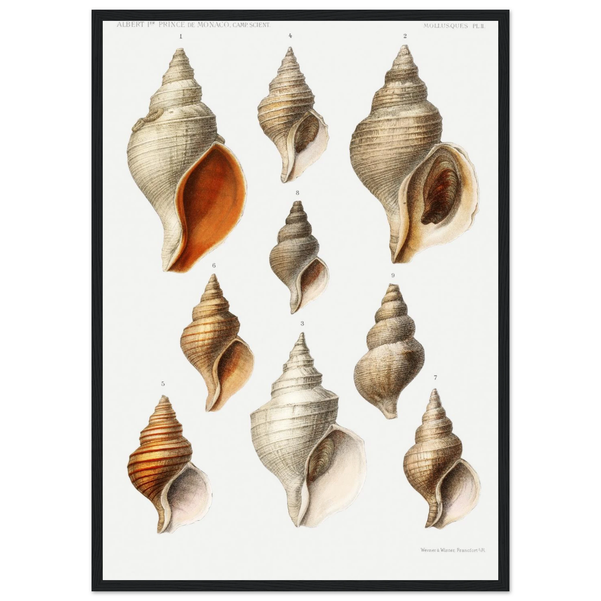 063769ef-4308-4ce0-9bdd-b2cf76764ce5