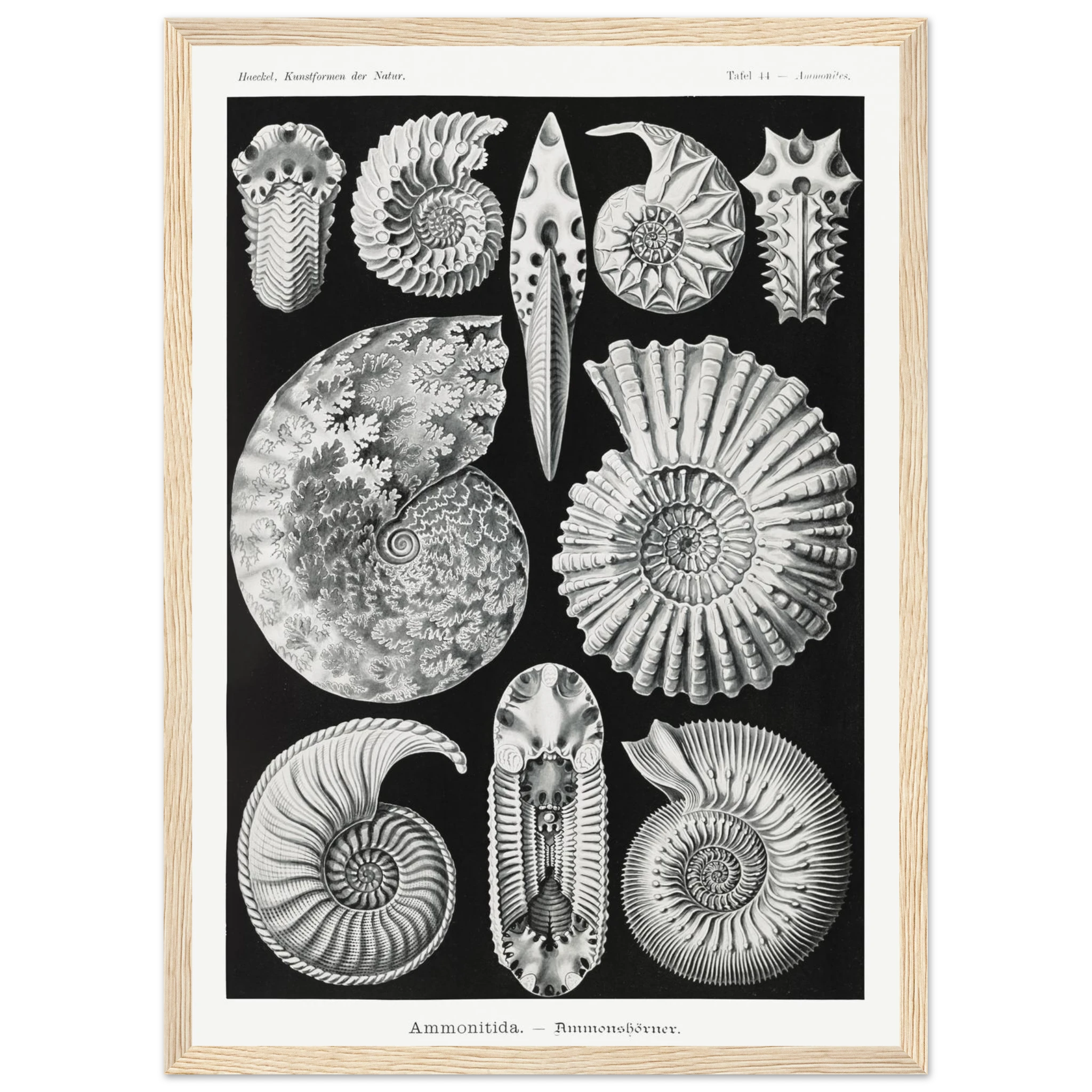 068b2946-eee6-496d-859e-75f7d8d49210