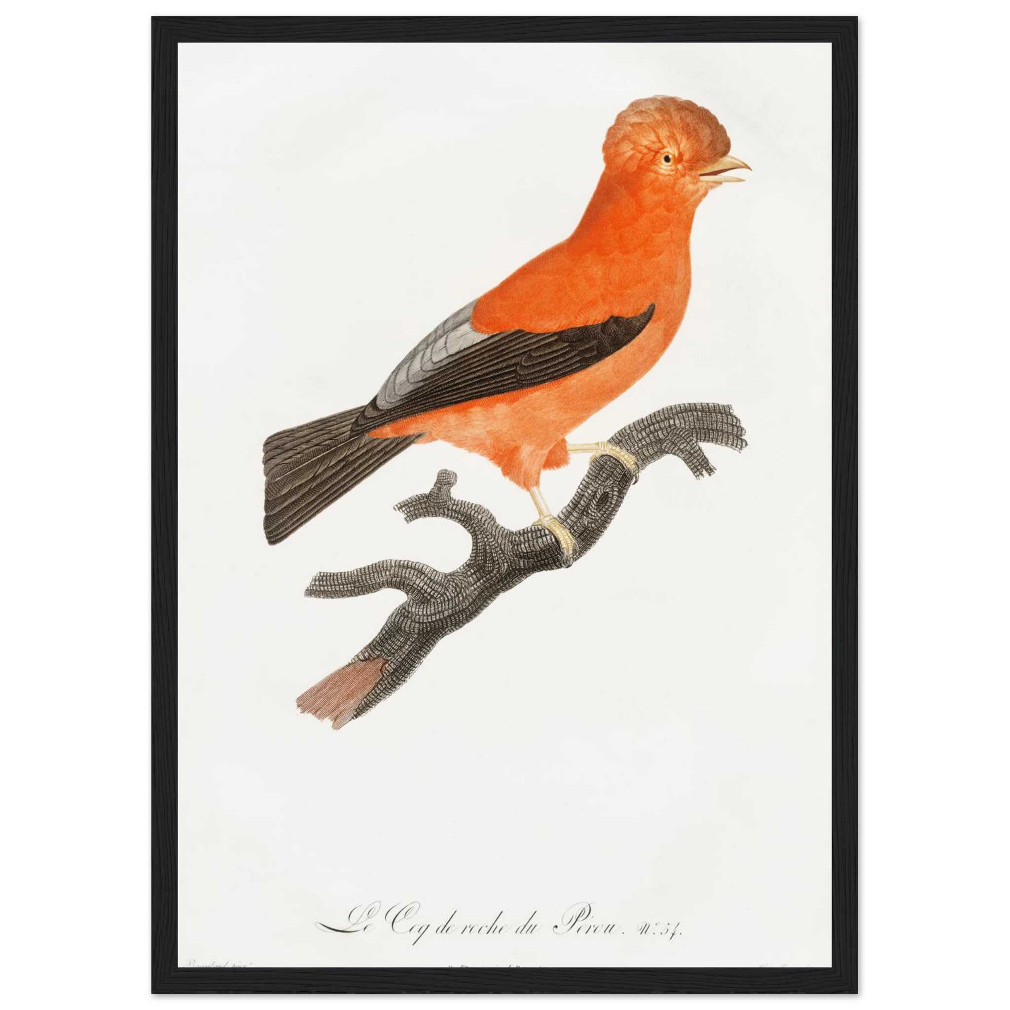 07137159-c26a-4ee3-8b14-cc3656bfec86