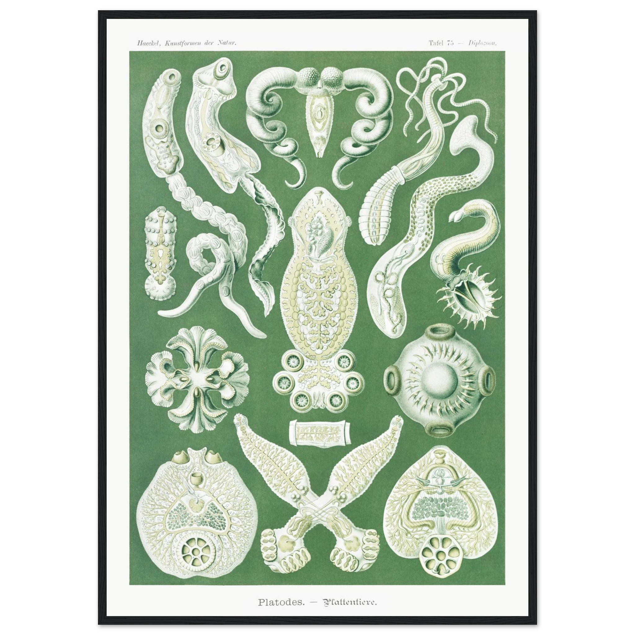 07441622-447e-49e9-811a-ca1d6c8e66f8