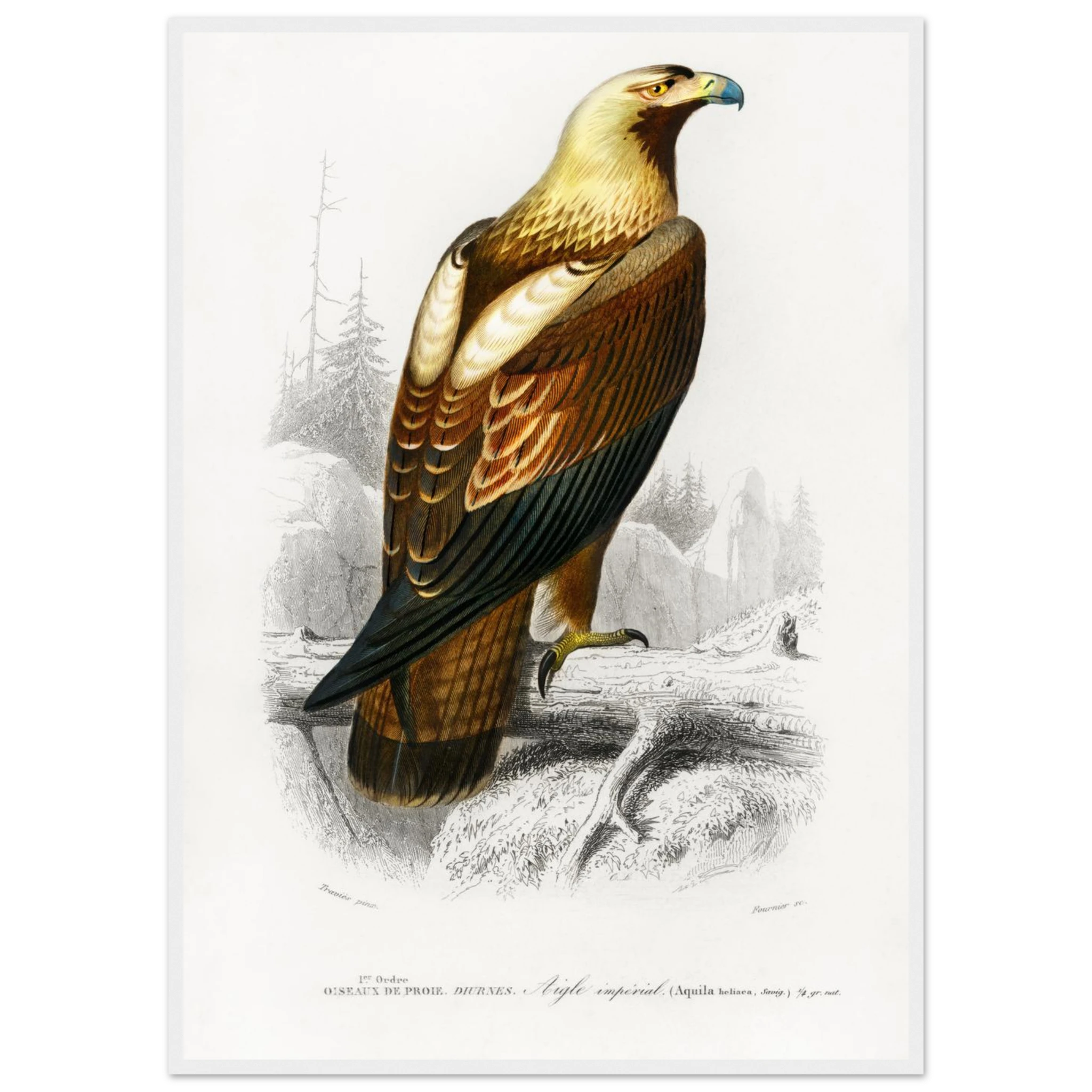 0765e23c-08ef-4abf-a1a6-2f3b0c5ea118