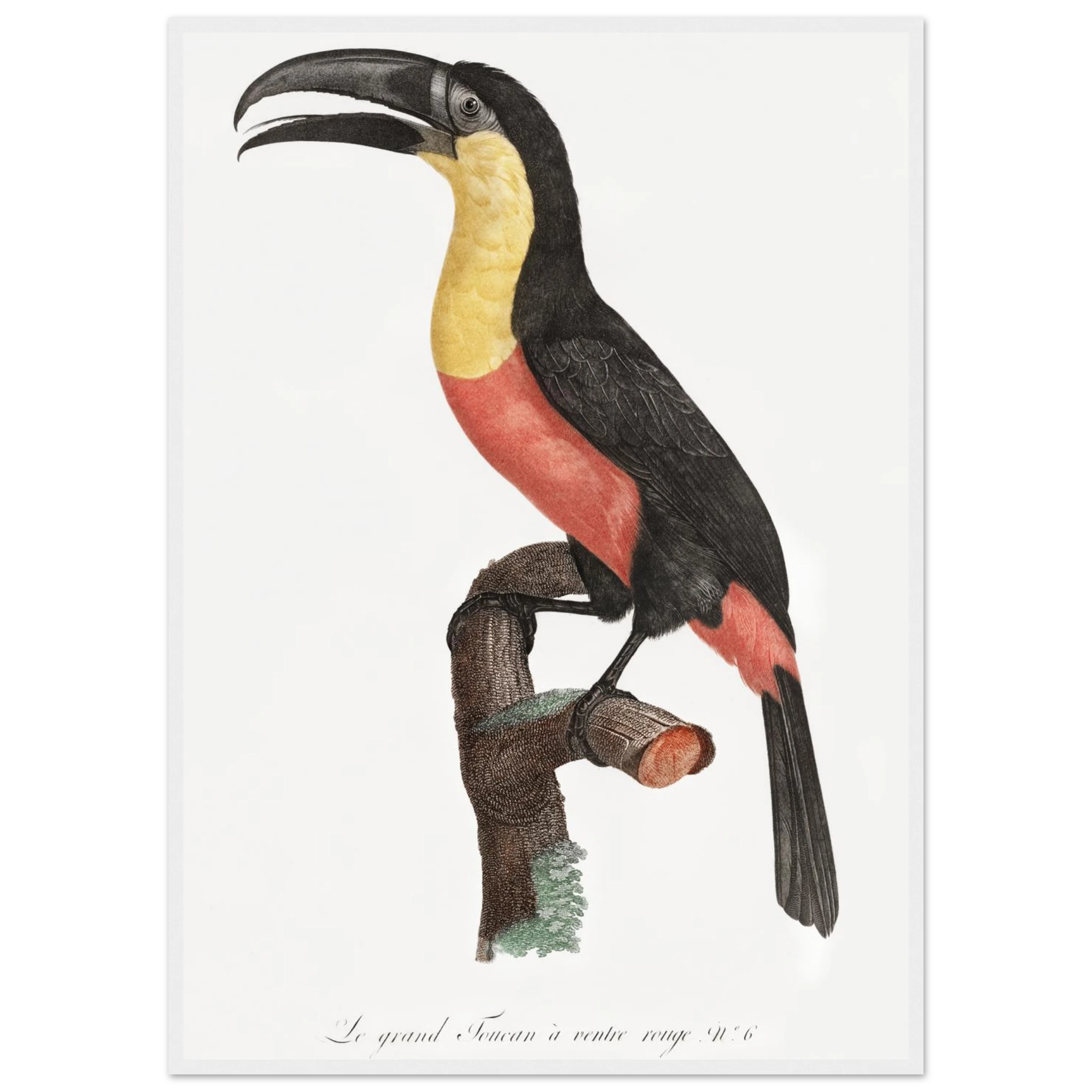 077b938c-160e-4f41-be82-884b767bcec2