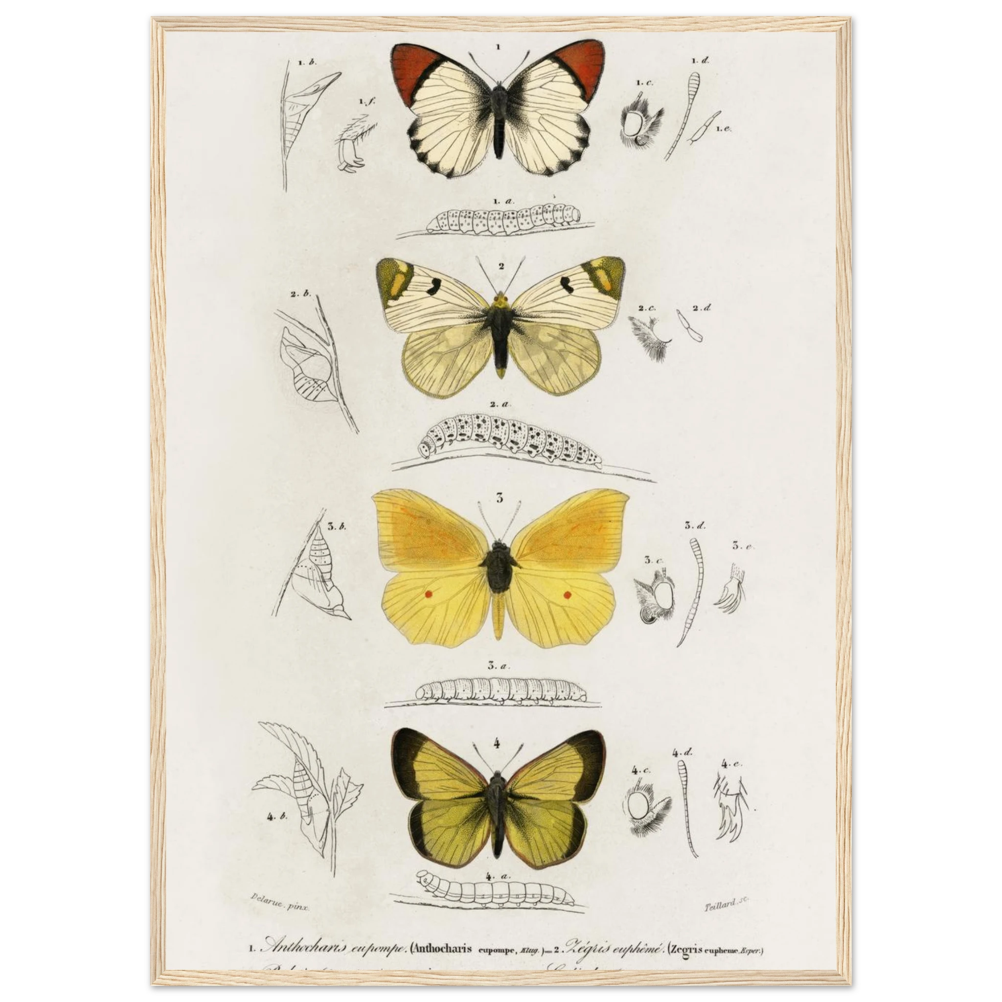 07a980a7-7b10-4da1-b163-9eef535a444c