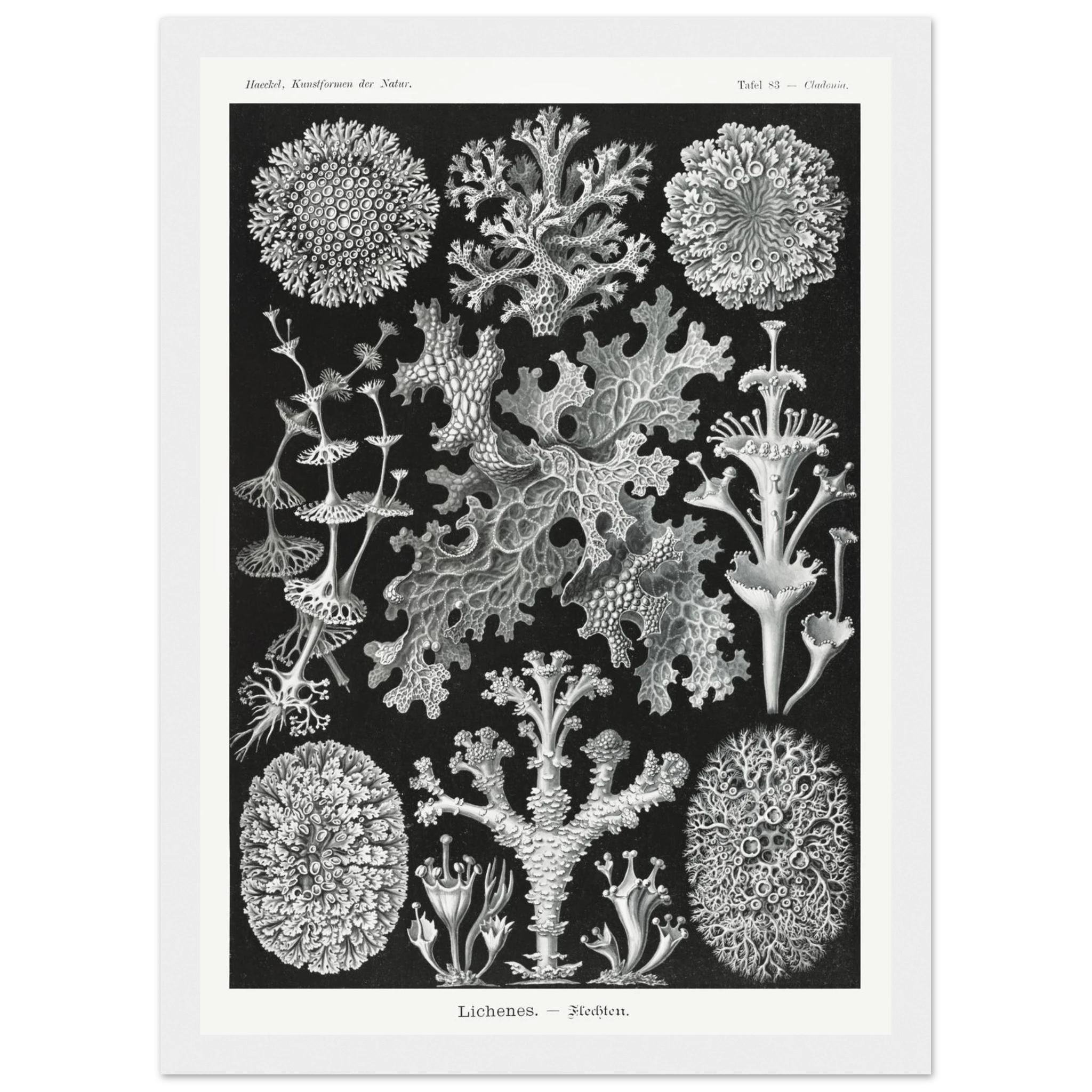 07ab651b-8ee5-4455-946f-be9fd89c75a8