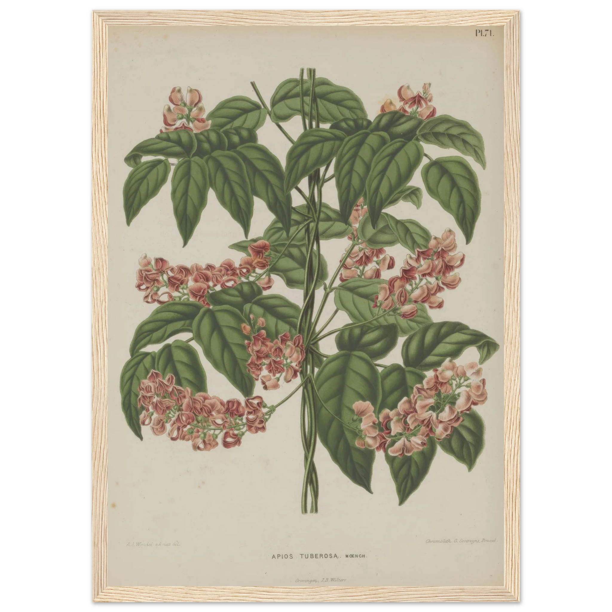 07c01956-c9da-4298-81bc-50e2db69e2dc