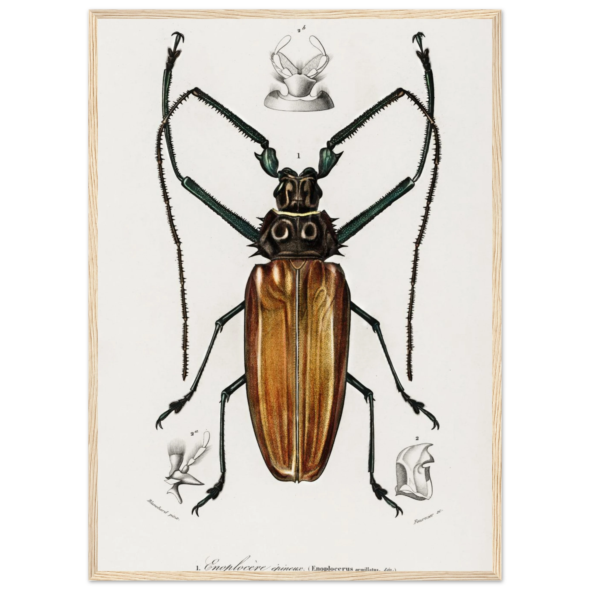 07cd69cb-7f08-49c6-a10a-0161f1f37676