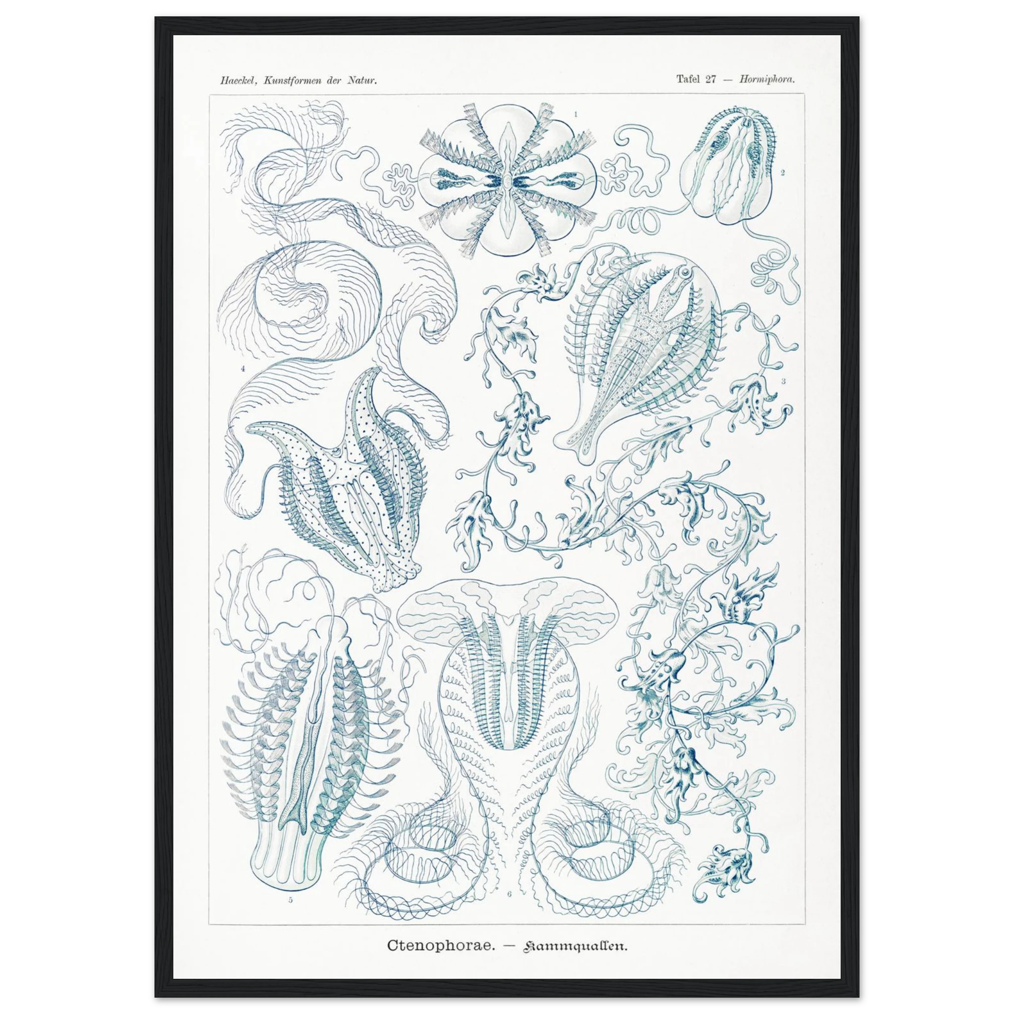 081f6979-08ea-415c-85c2-30870f91c1d6