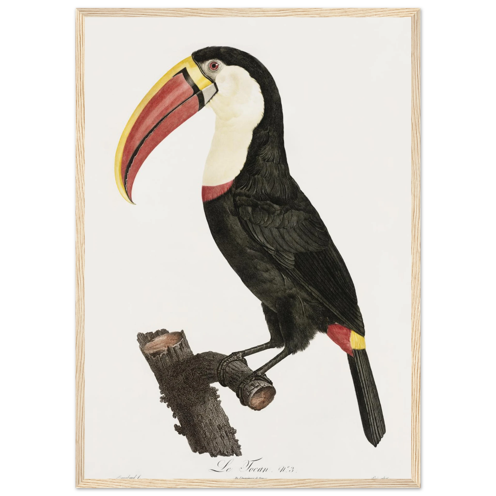 08ba8532-00d1-462c-a914-c606c7bf1f9d