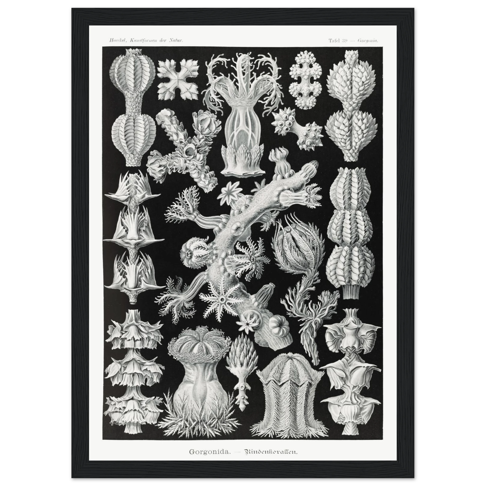 08cf4e4c-e677-4302-bbe3-7487981111ae