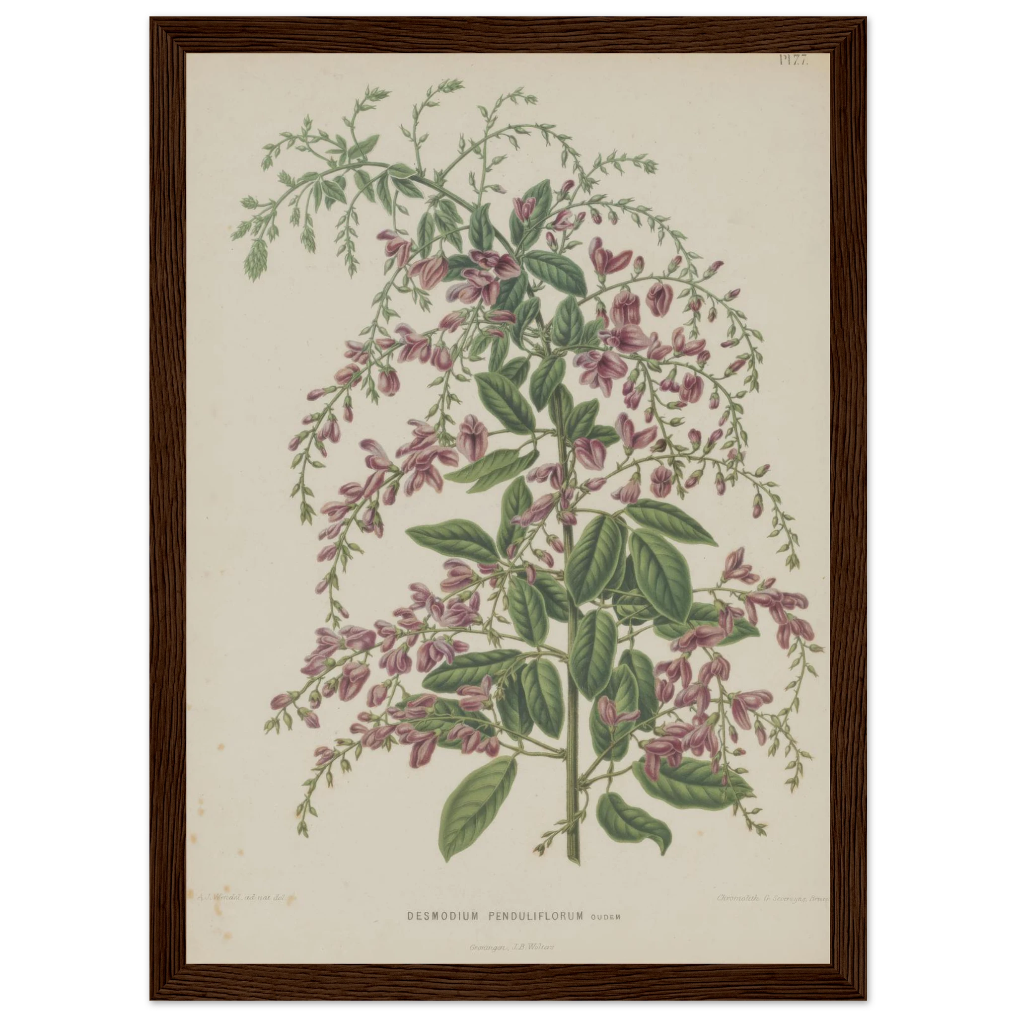 08ea43b6-9bf8-4b52-92ad-3ecd55584c45