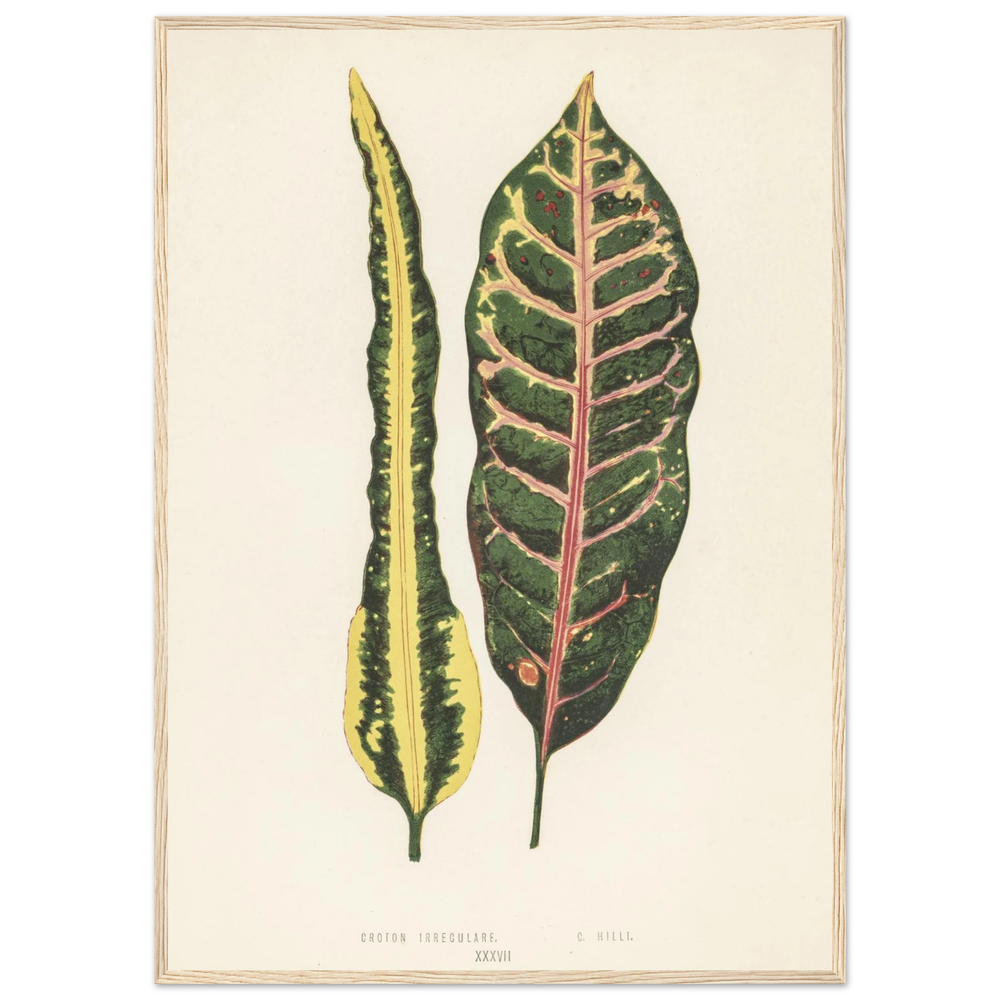 09207f86-3ff1-4592-ada6-ec096e87d4b1