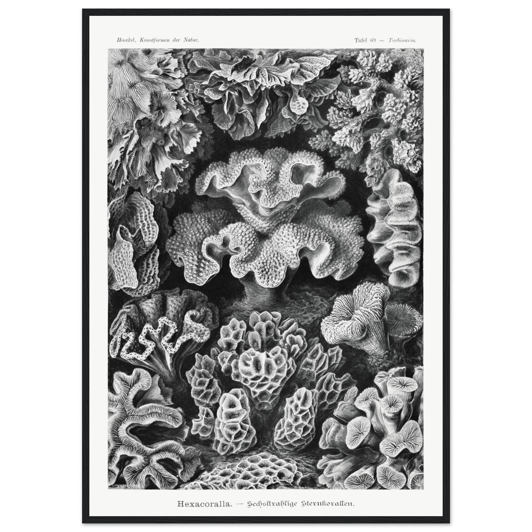 0929d14a-bb8b-4c57-a798-e17b9321a610