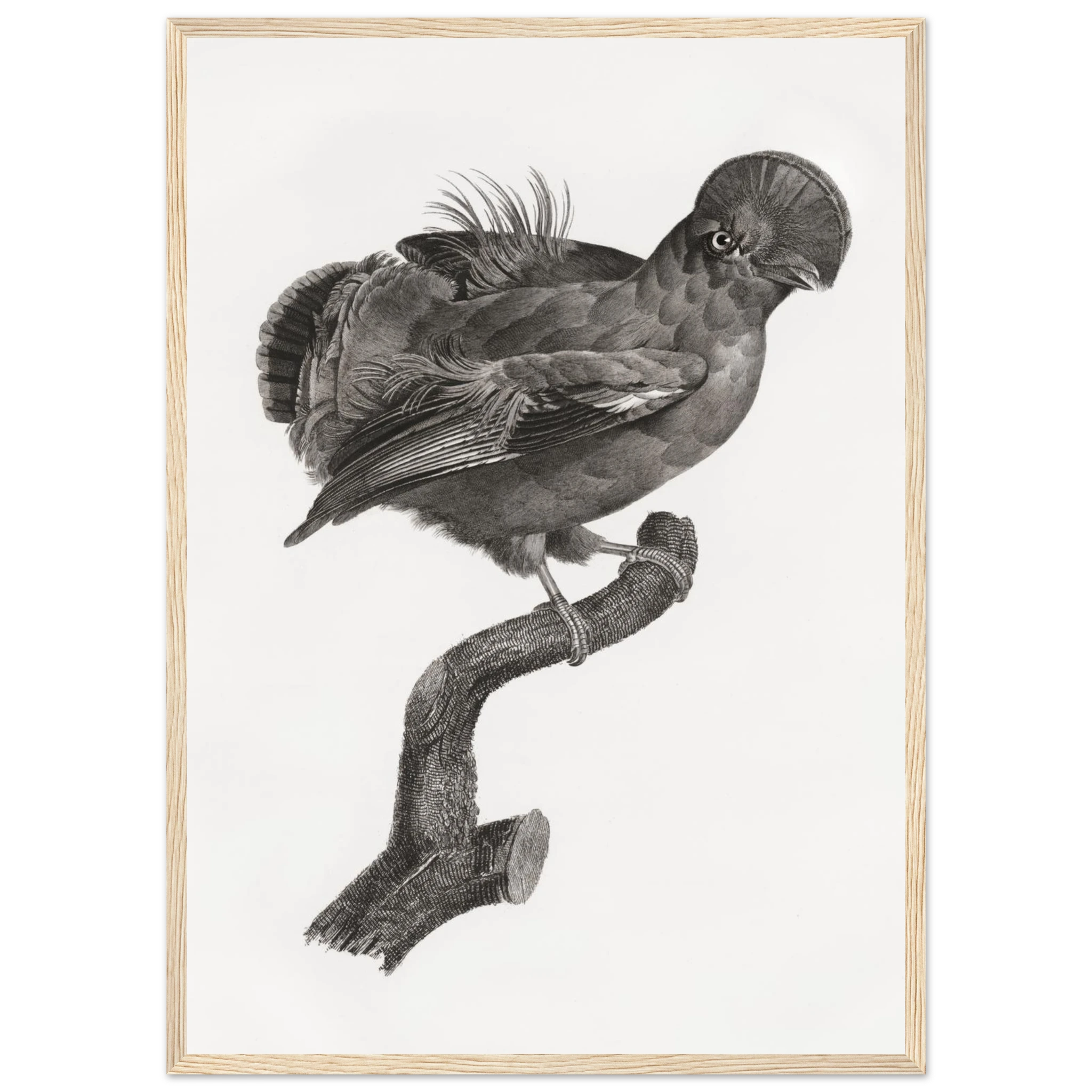 097a5170-46ed-4095-bacc-d09aa242c0a0