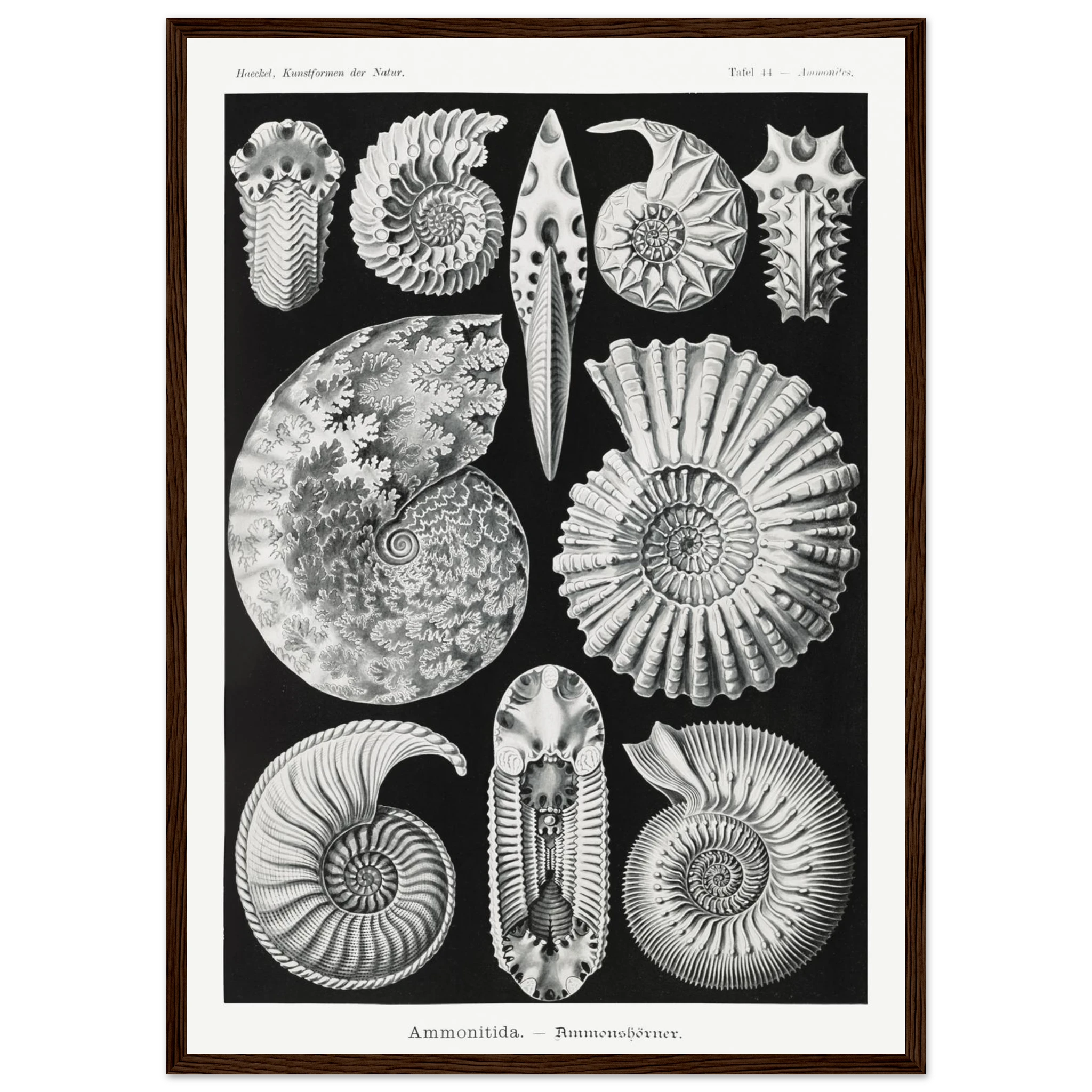 09d1cc12-e1cc-46f2-8d14-4a284b9bcbe6